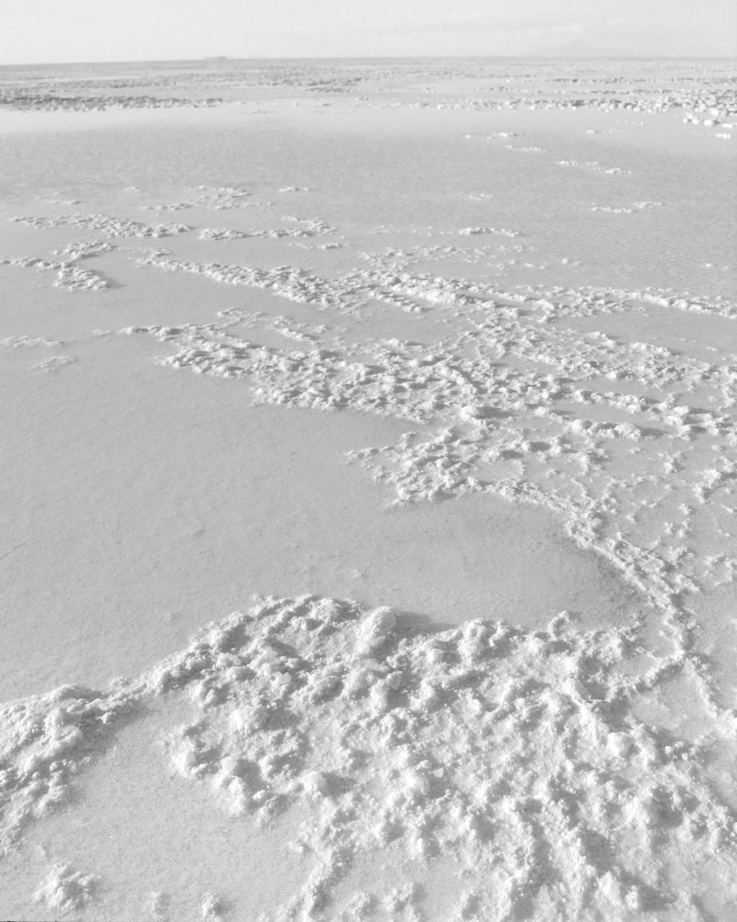 Snow-covered landscape with multiple sets of footprints leading into the distance.