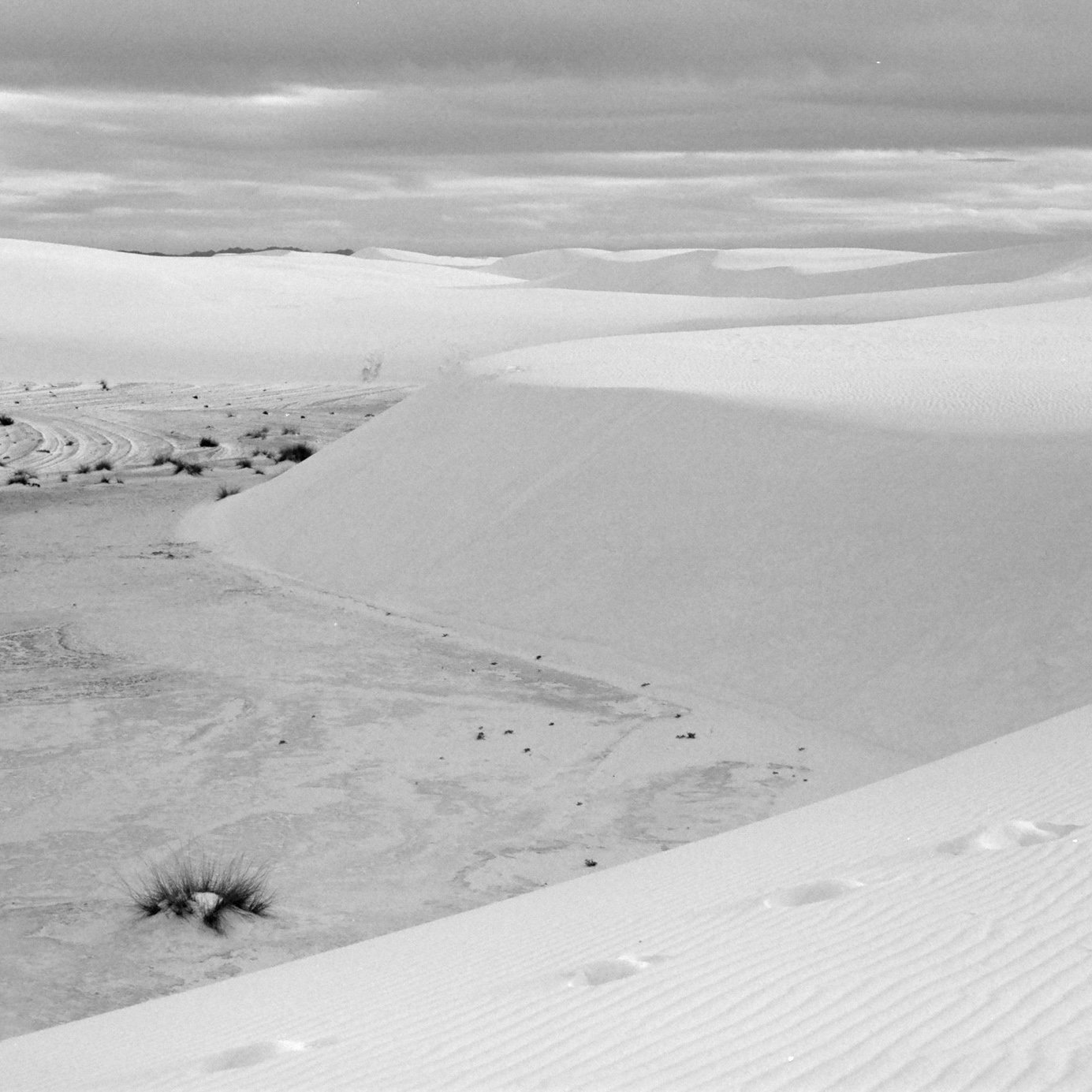 Snow-covered landscape with dunes, some tracks, and sparse vegetation under a cloudy sky.