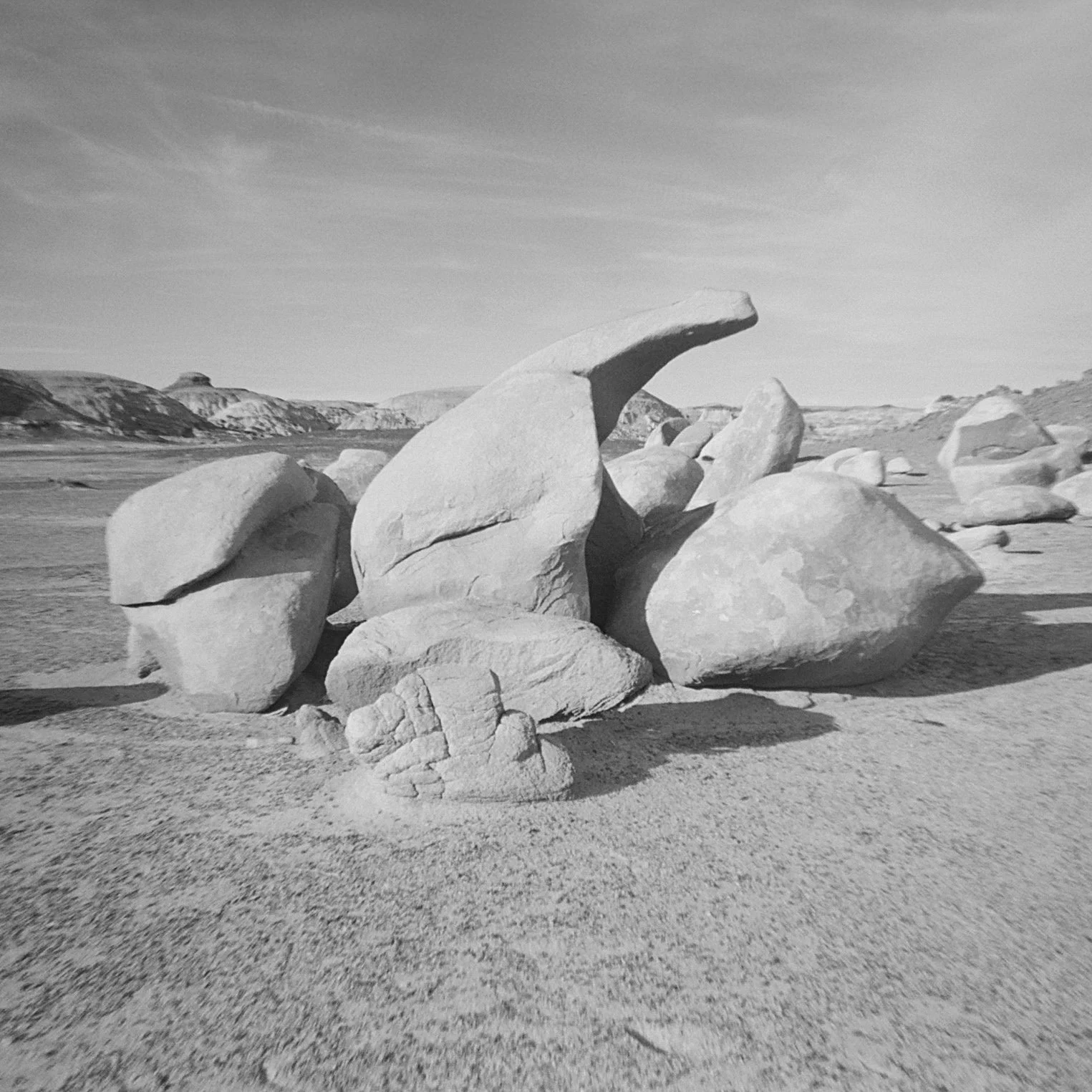 Giant Rock with Handle- Bisti/De-Na-Zin Wilderness 2022 *