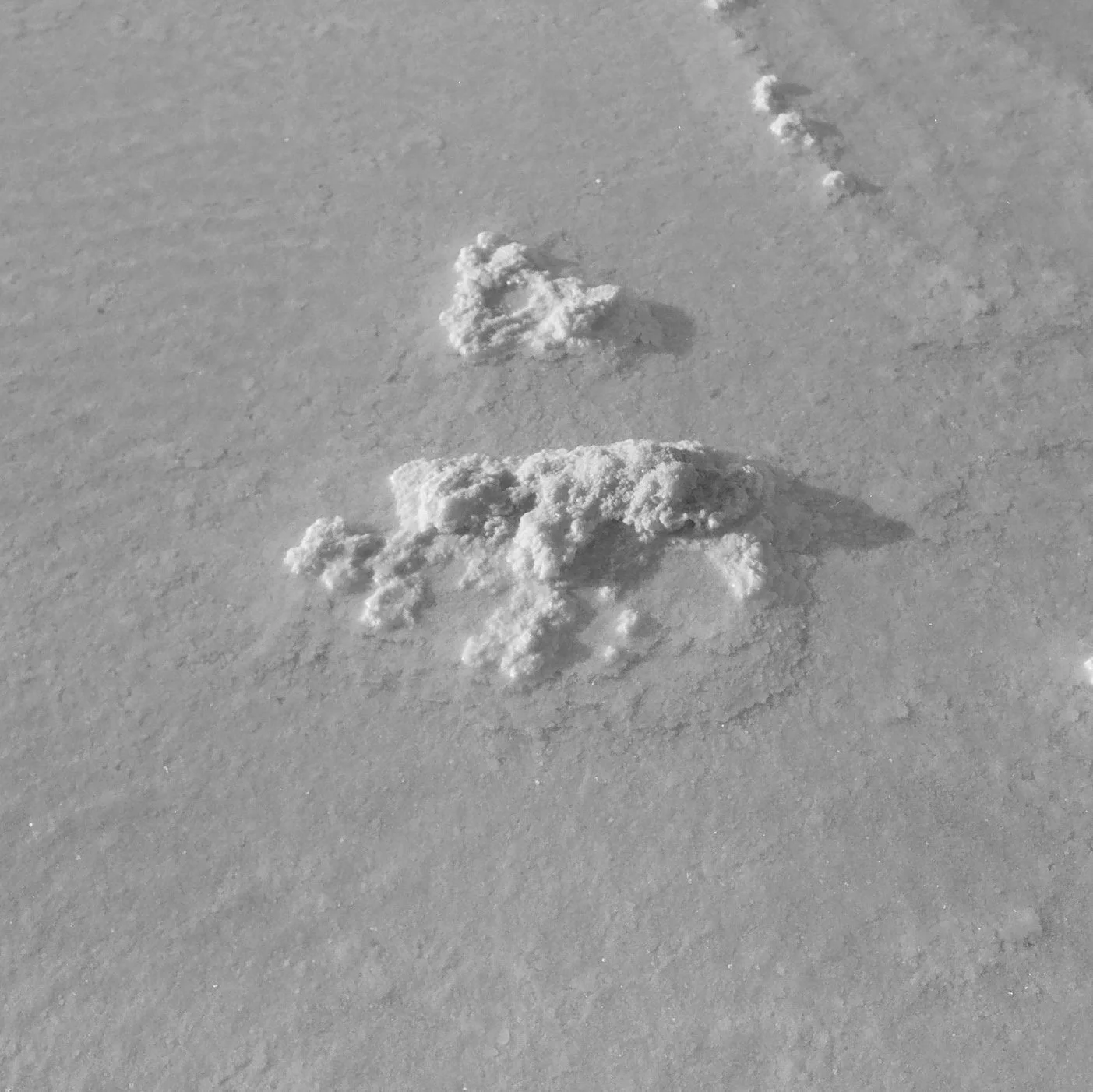 Footprints in the snow.