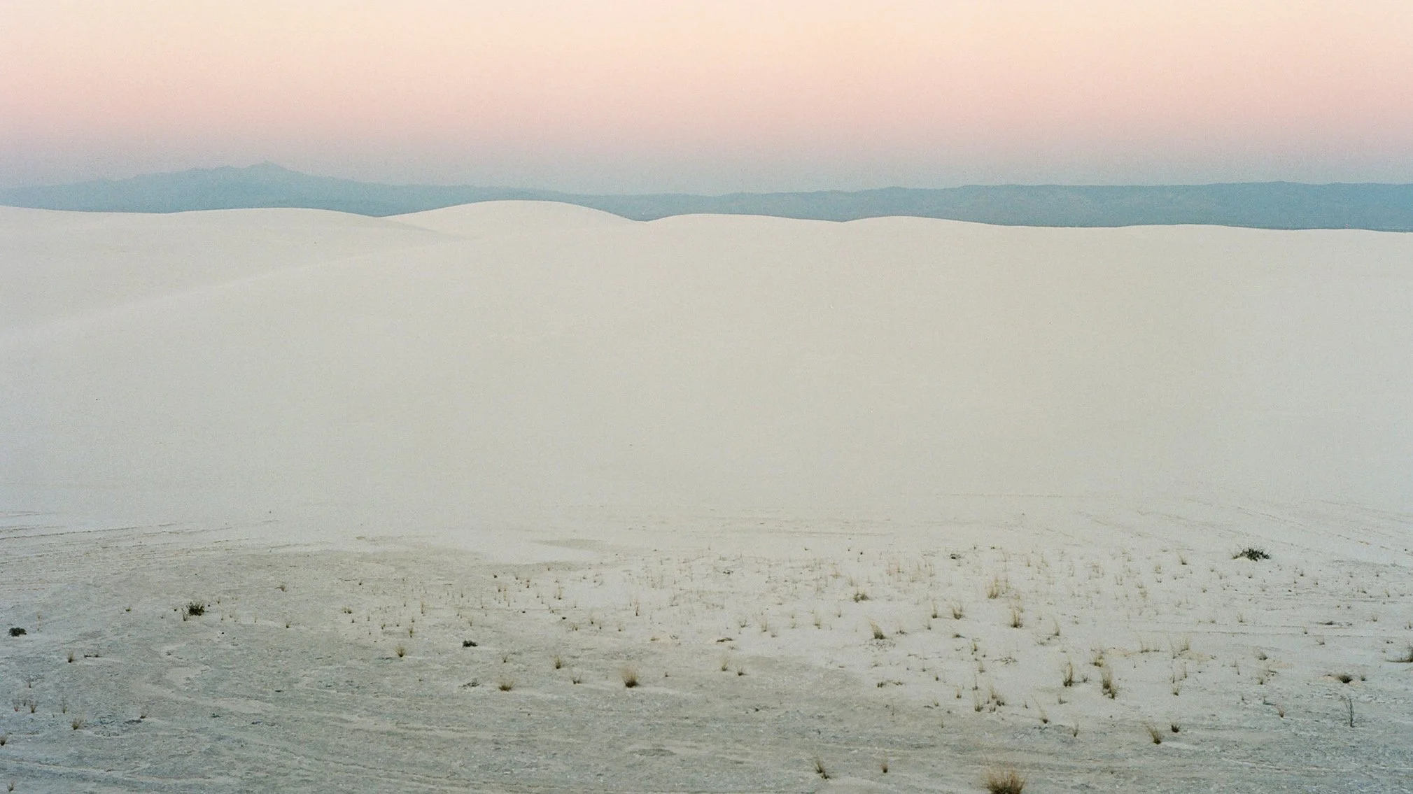 A vast, white sand dune desert with small sparse vegetation and a pastel sky in the background.