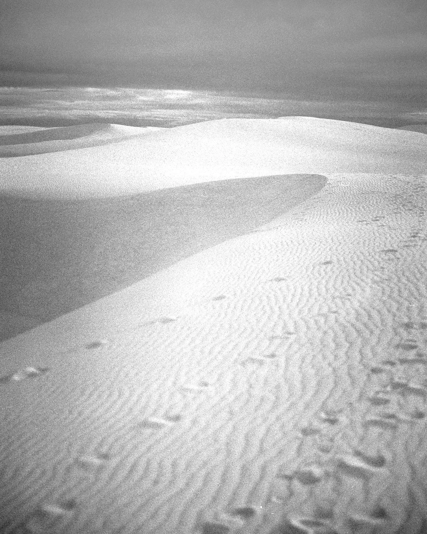 Sand dunes with clear footprints leading into the distance, under a cloudy sky in black and white.