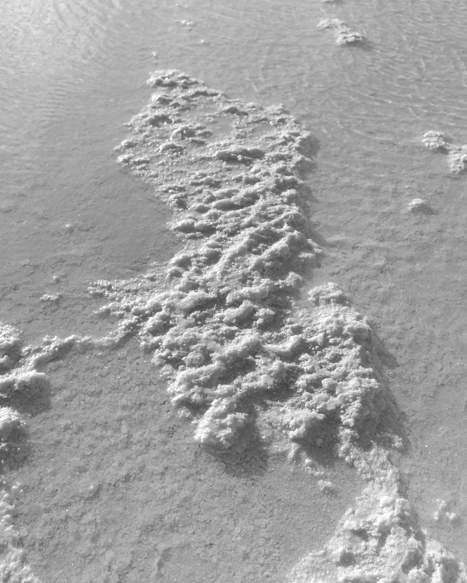 Footprints in snow