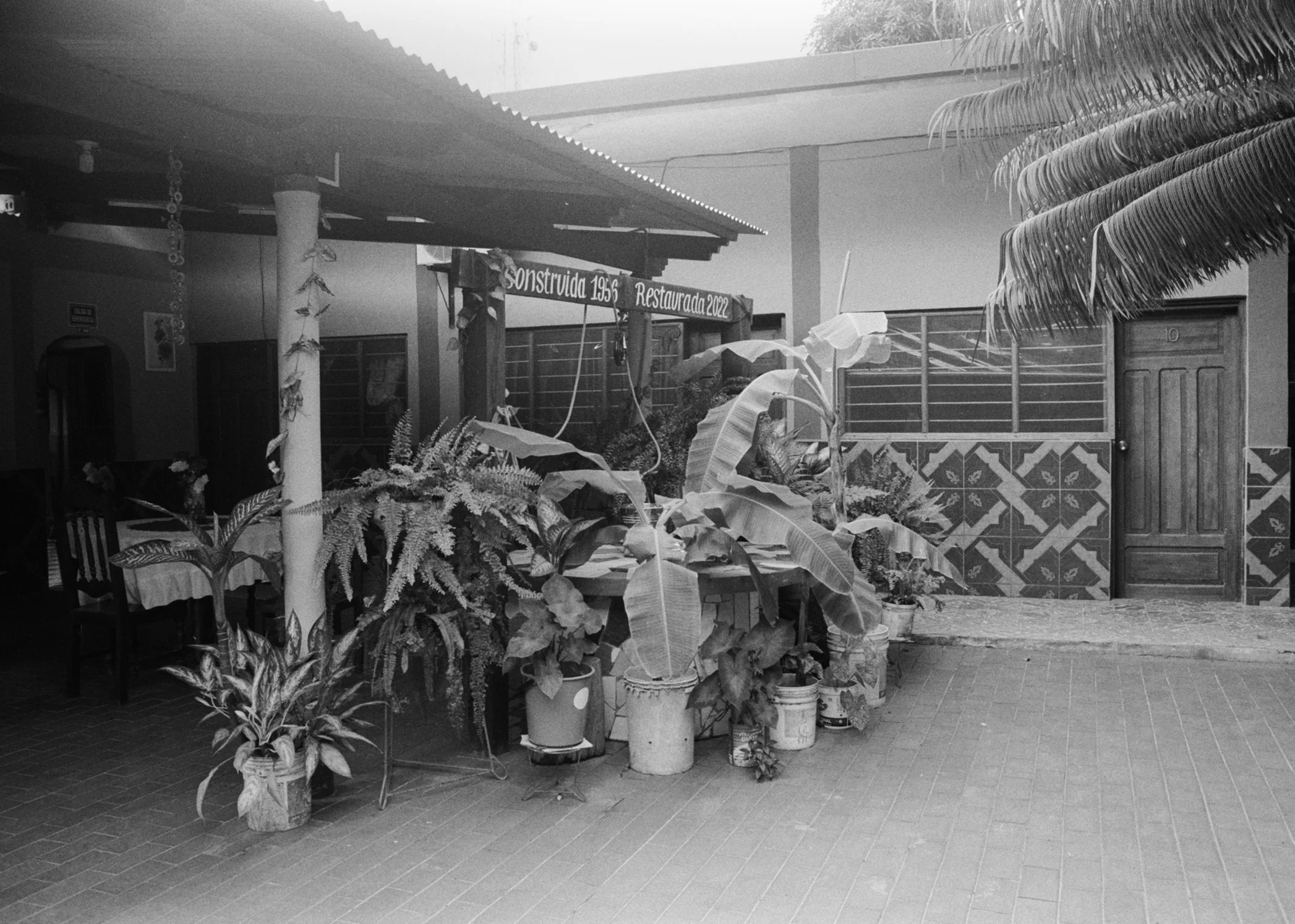 Black and white photo of a restaurant or cafe with potted plants and a decorated outdoor seating area, featuring a sign indicating construction began in 1953 and was renovated in 2022.
