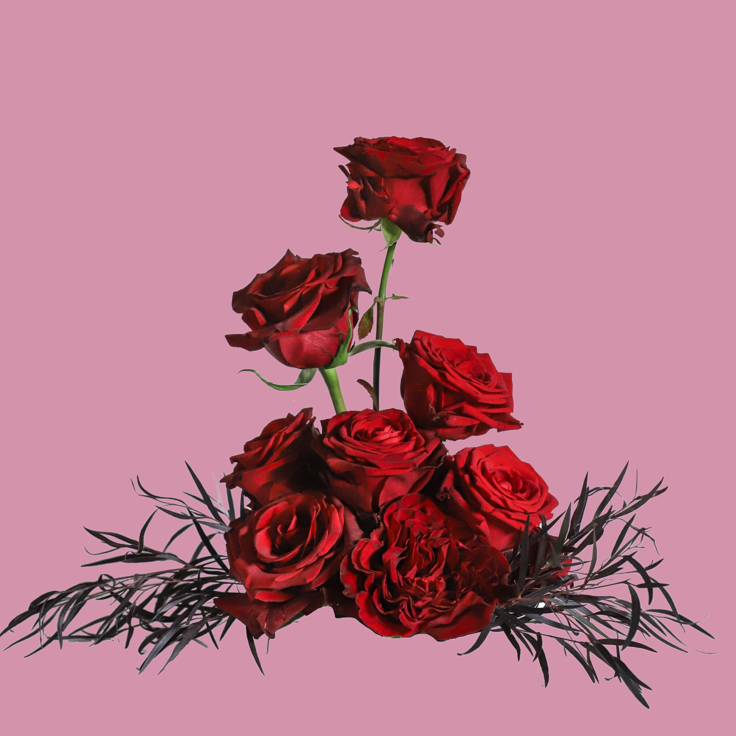 Valentines+2025+Website.jpg