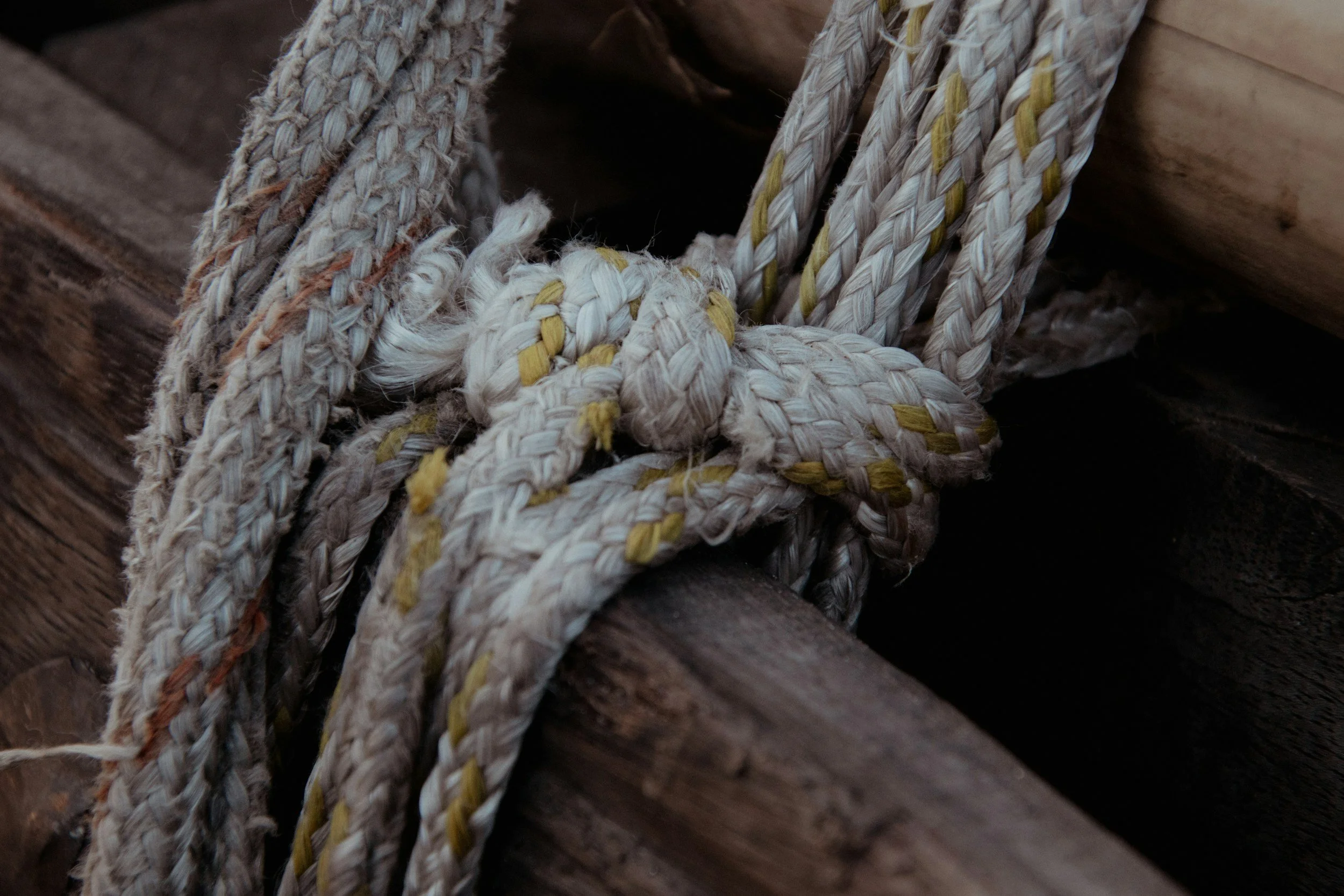 5 Steps to Build an Adaptive Strategic Plan and Stay Mission-Aligned (Easy Guide for Indigenous Orgs)