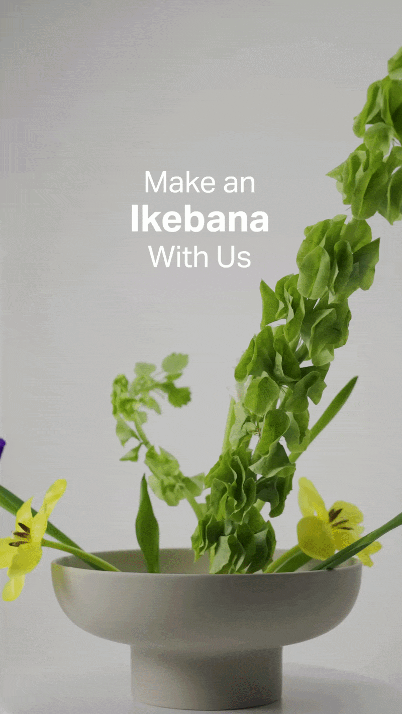 allmodern_x_plural__ikebana_v61080p-ezgif.com-optimize.gif