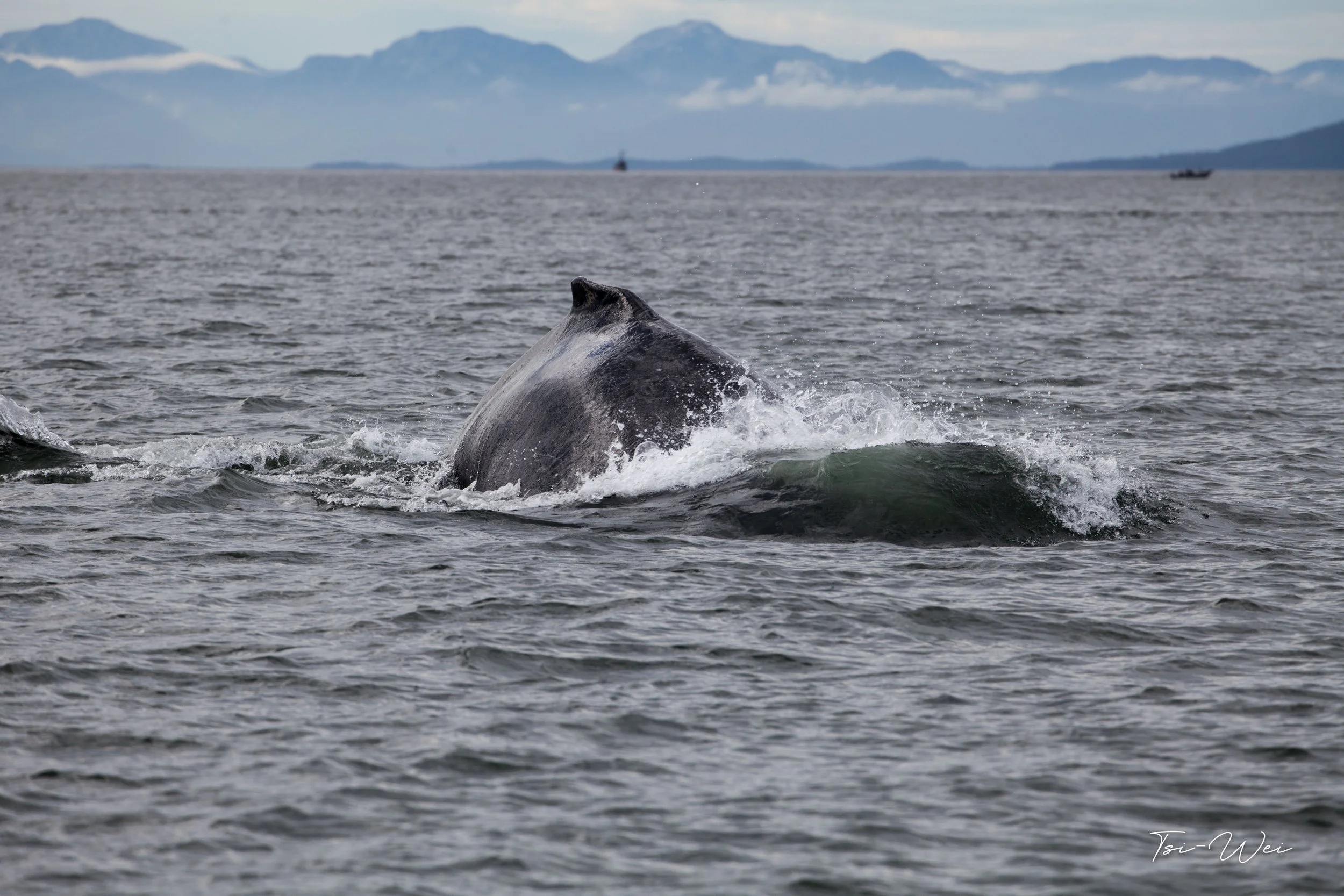 Alaska-9571.jpg