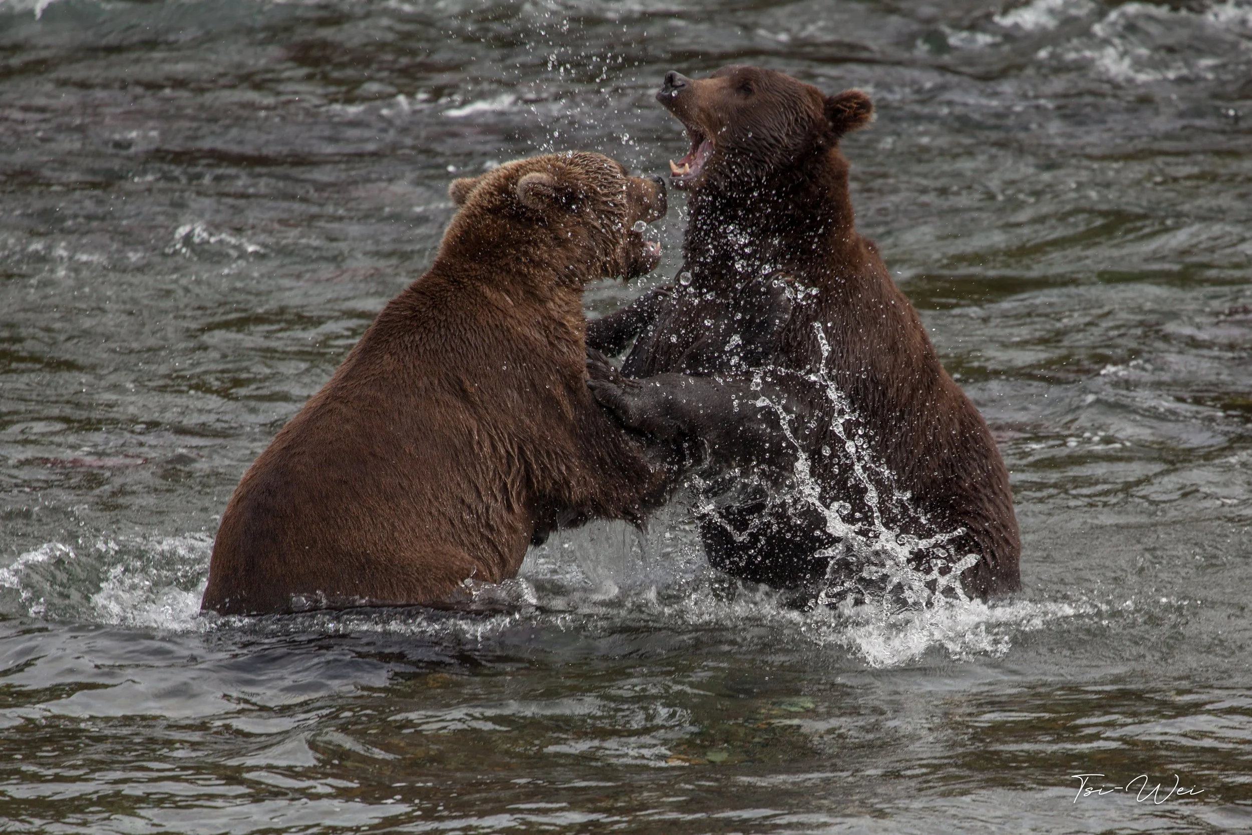 Alaska-3057.jpg