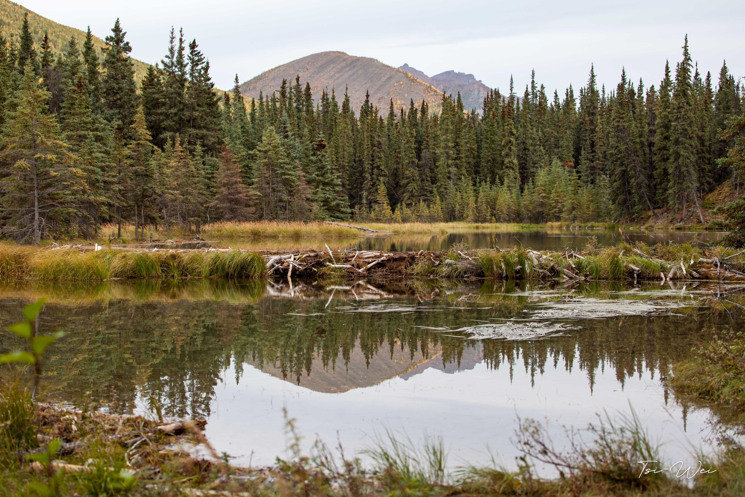 Alaska-1290.jpg
