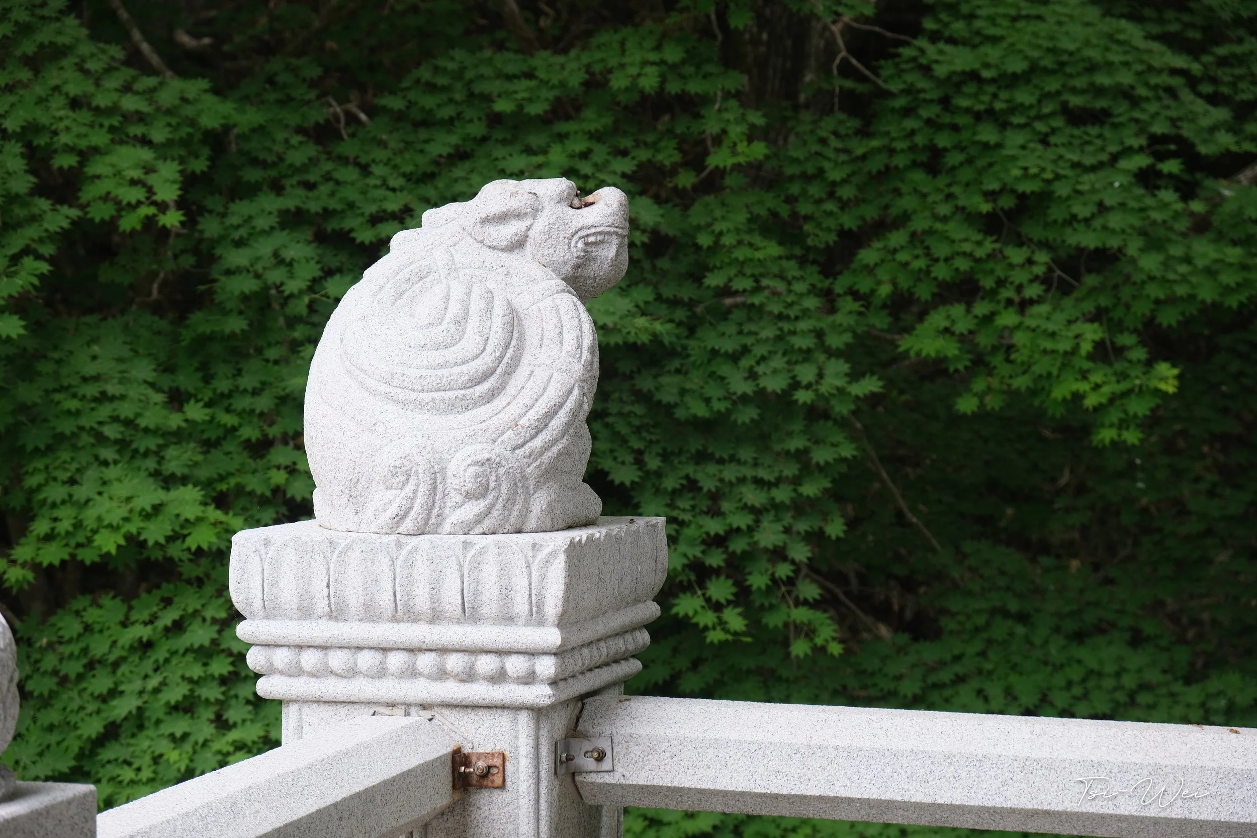 DSCF2878.jpg