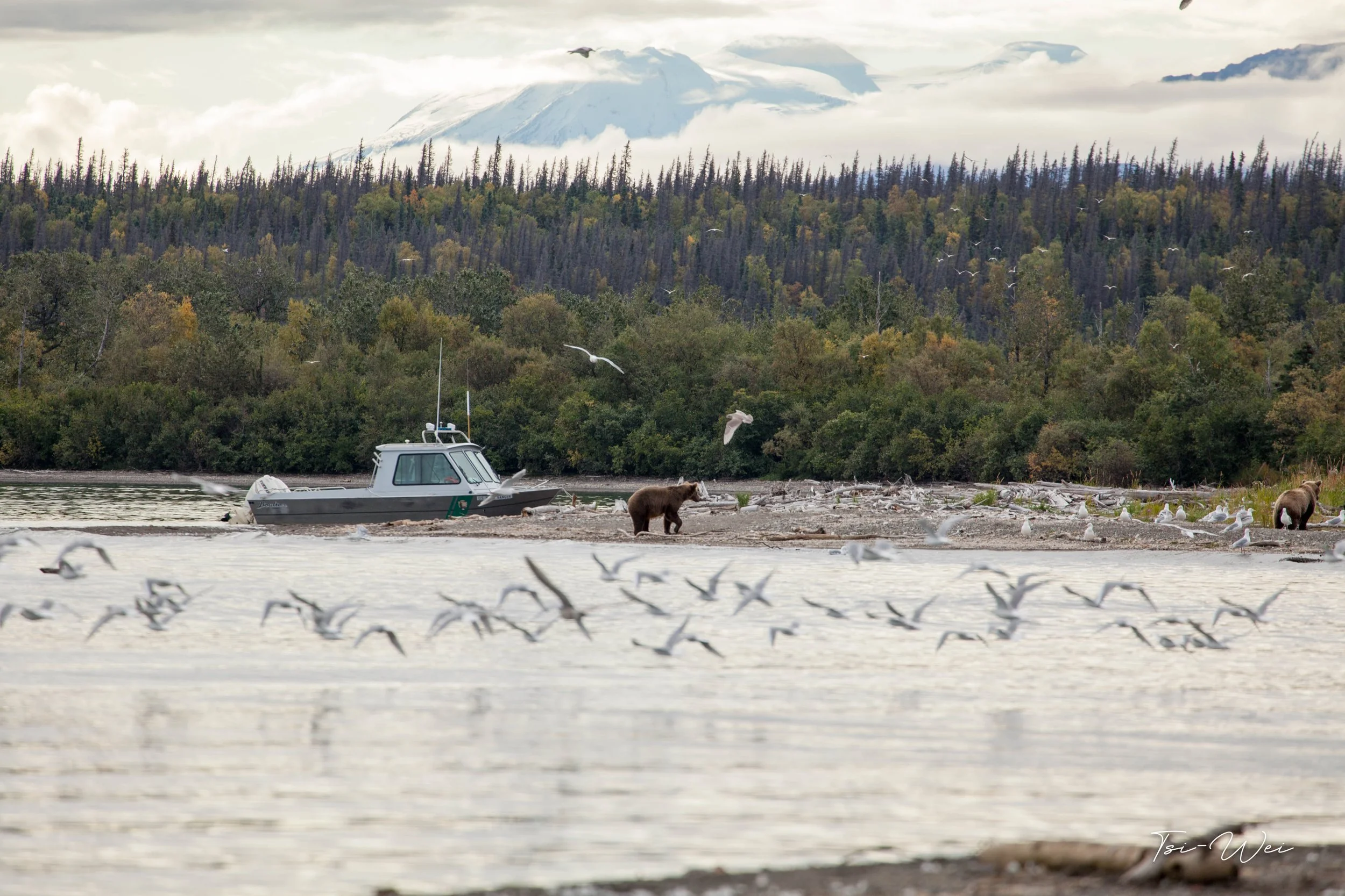 Alaska-2606.jpg