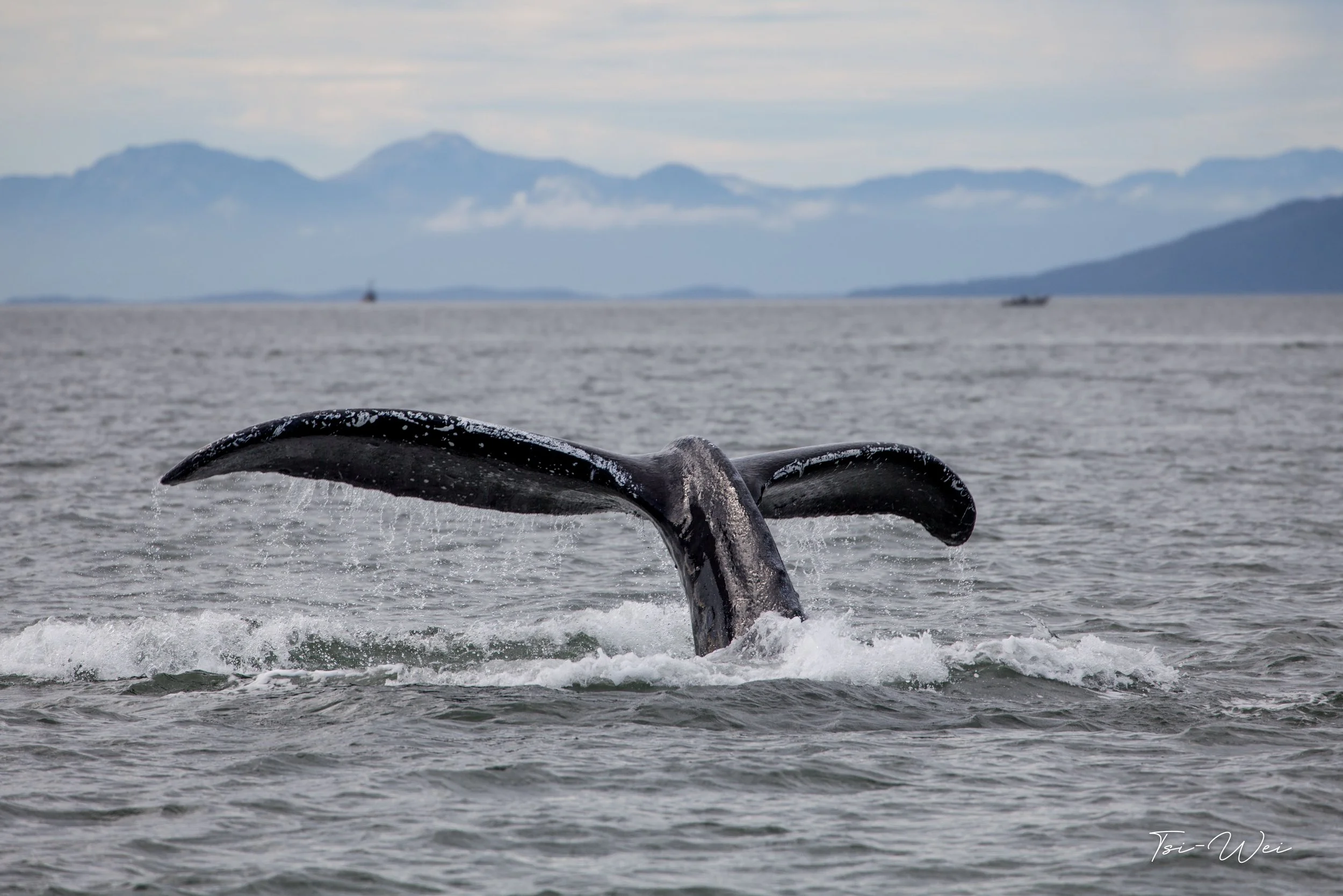 Alaska-9576.jpg