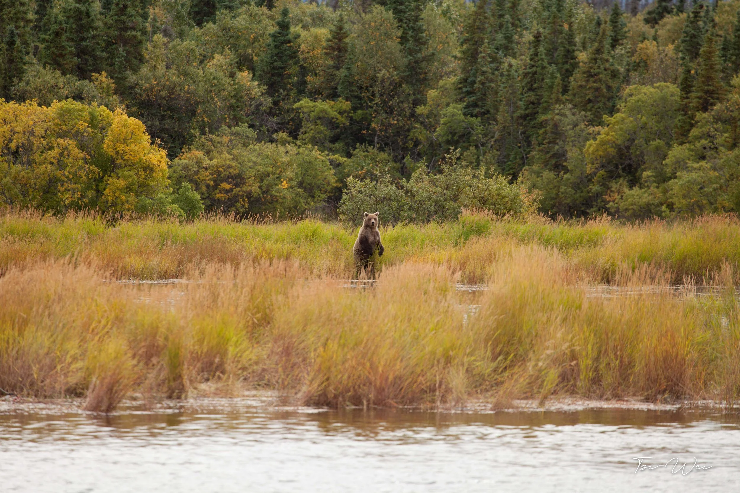 Alaska-3125.jpg