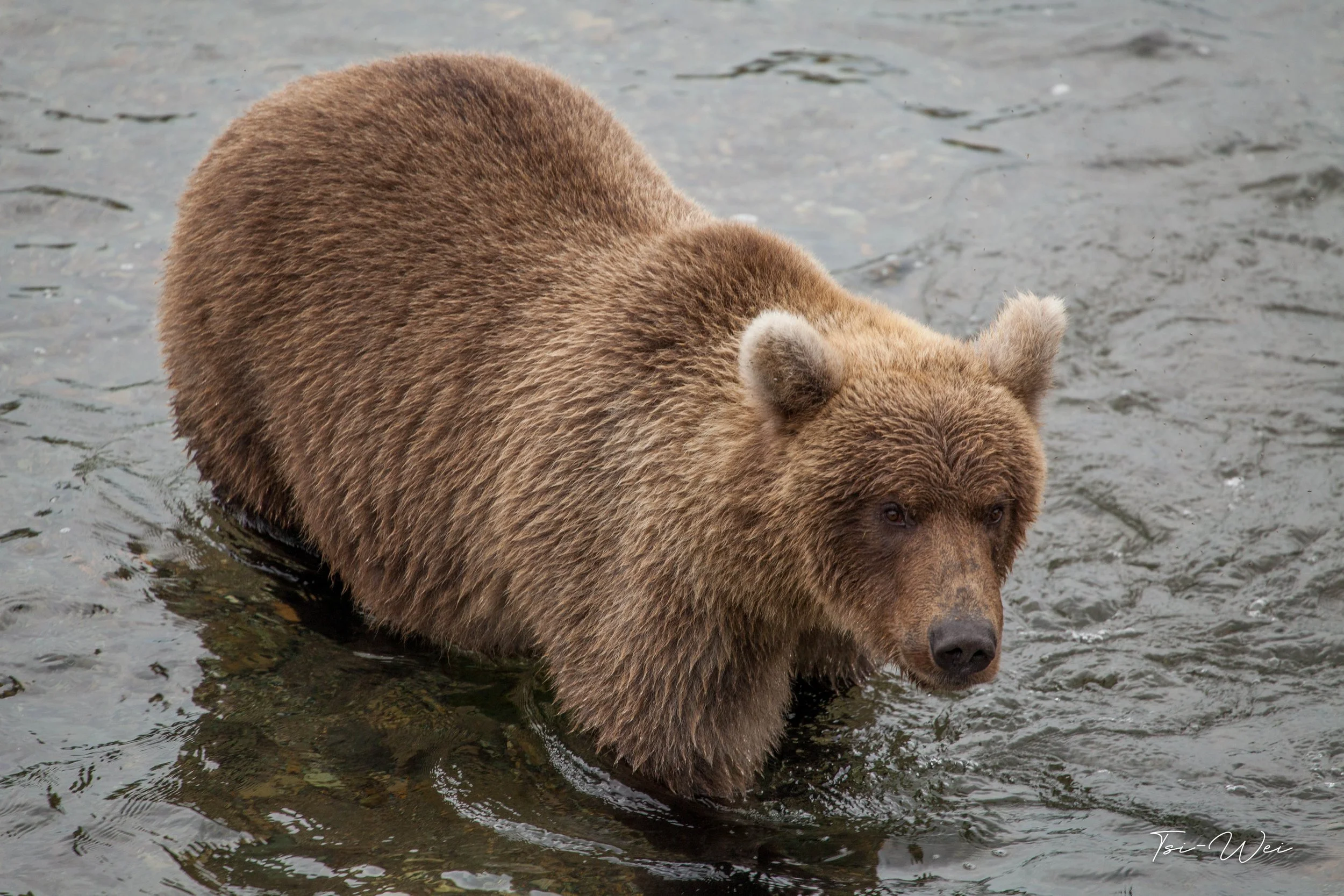 Alaska-2383.jpg
