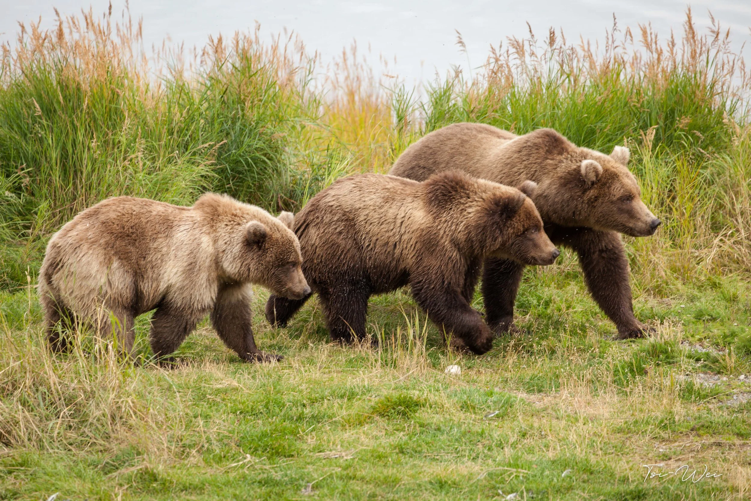 Alaska-3116.jpg