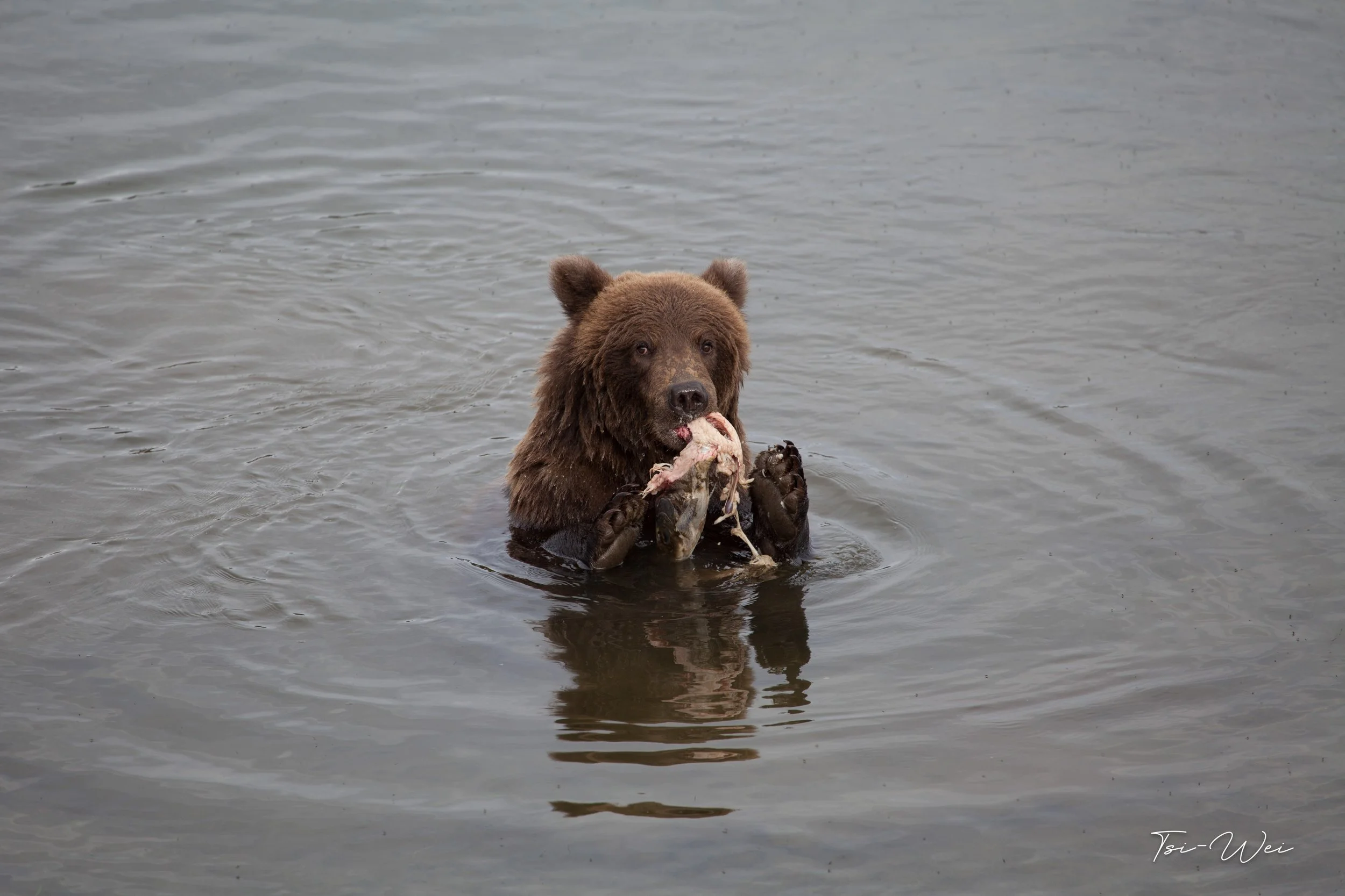 Alaska-3090.jpg