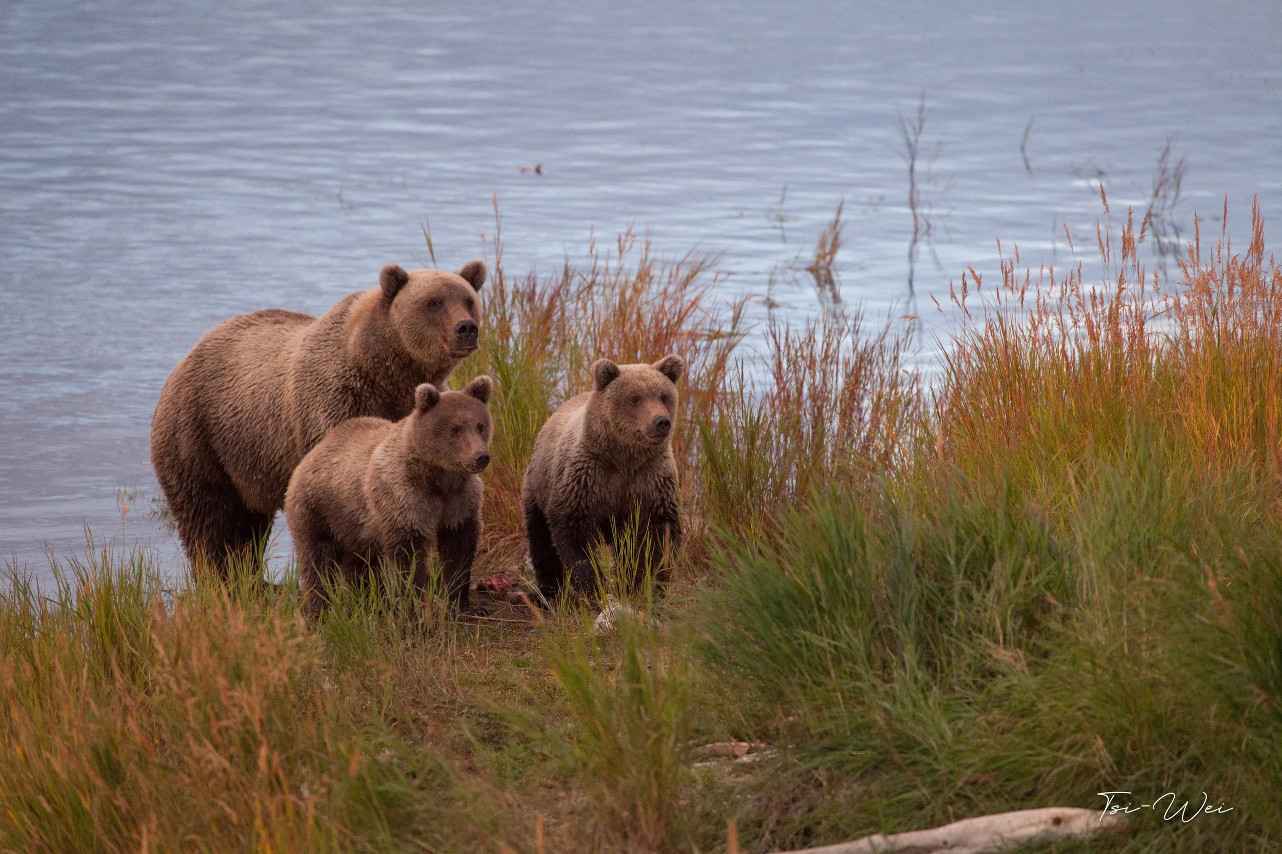 Alaska-3916.jpg