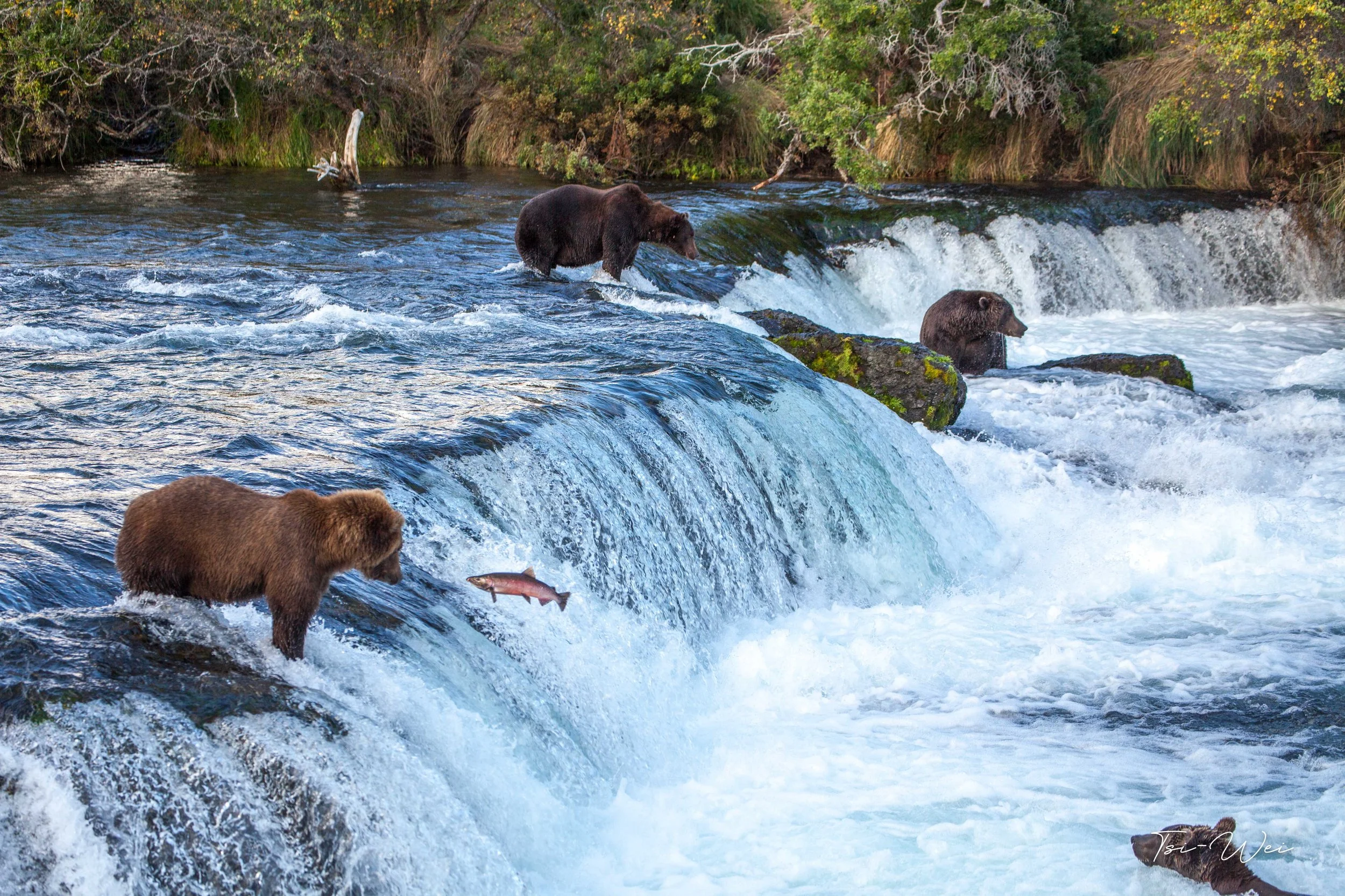Alaska-3539.jpg