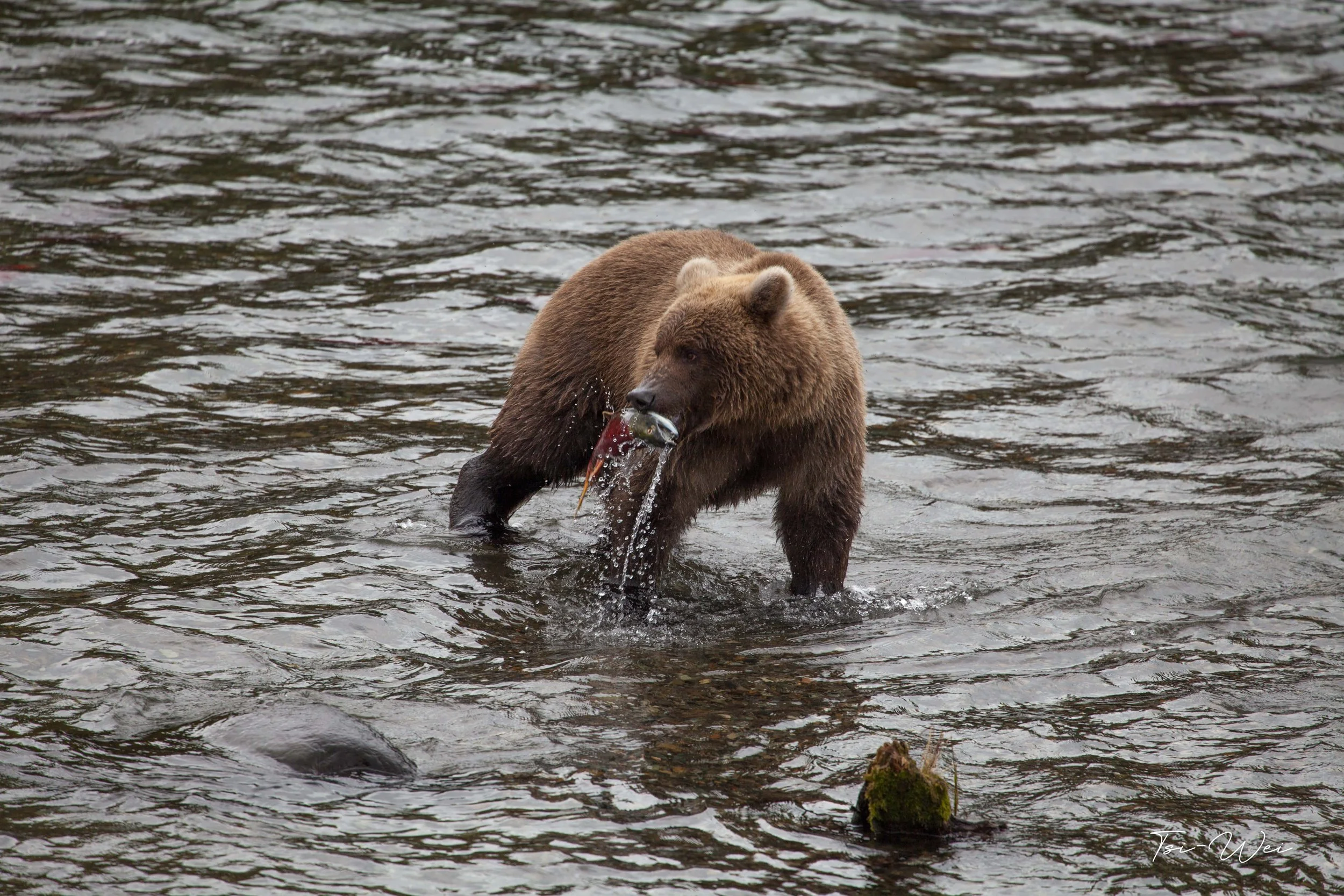 Alaska-2366.jpg