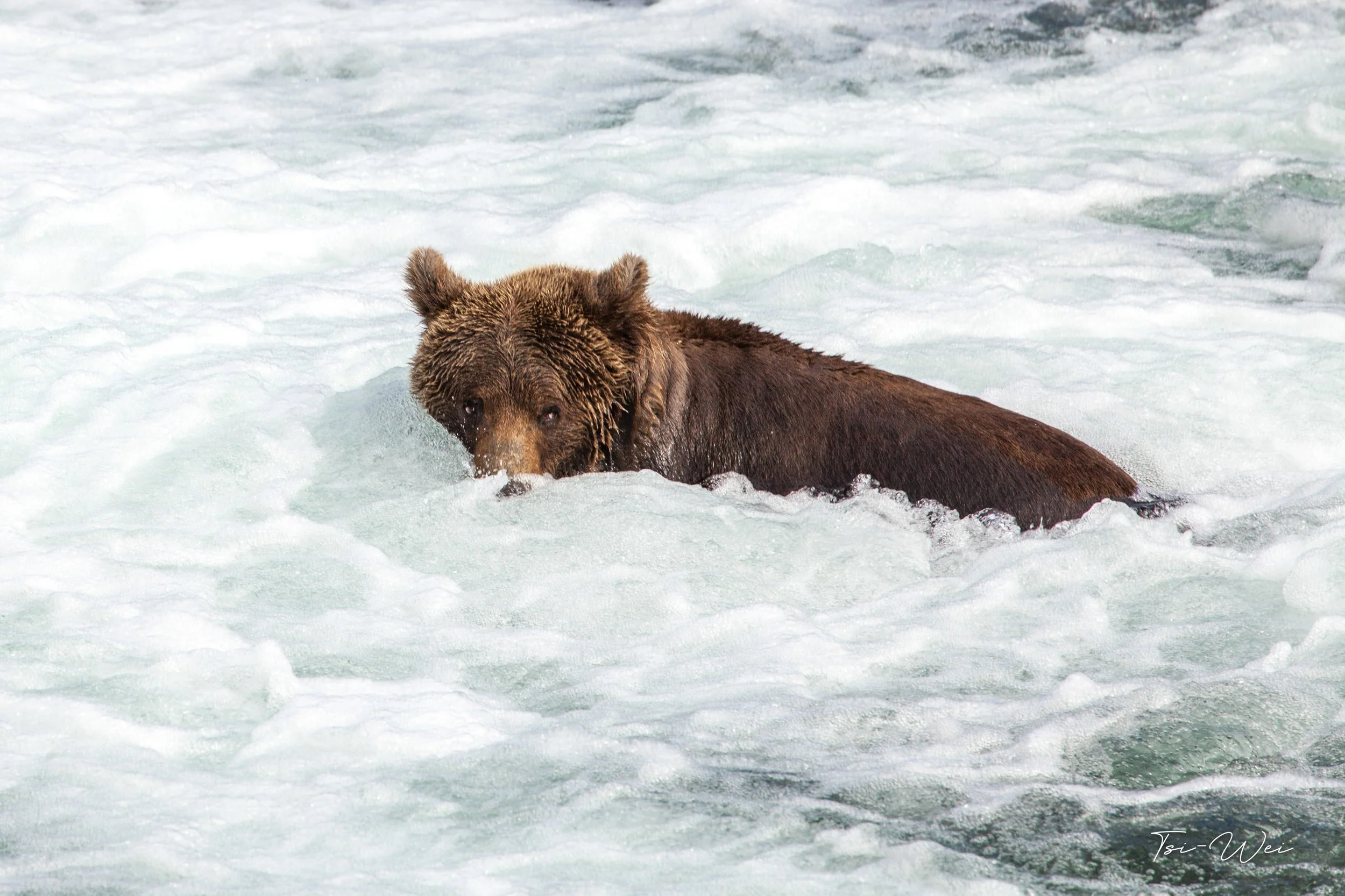 Alaska-2897.jpg