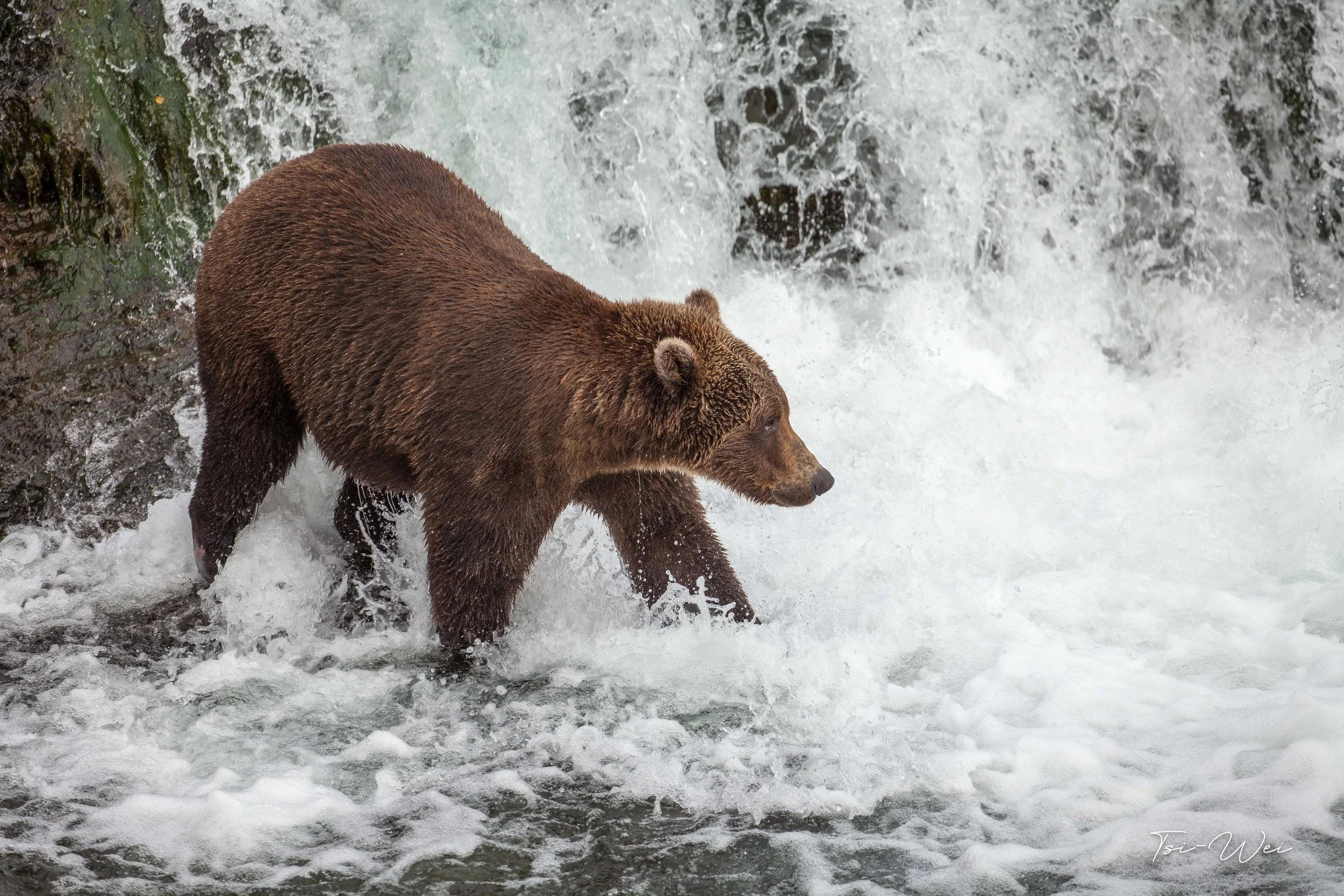 Alaska-2788.jpg
