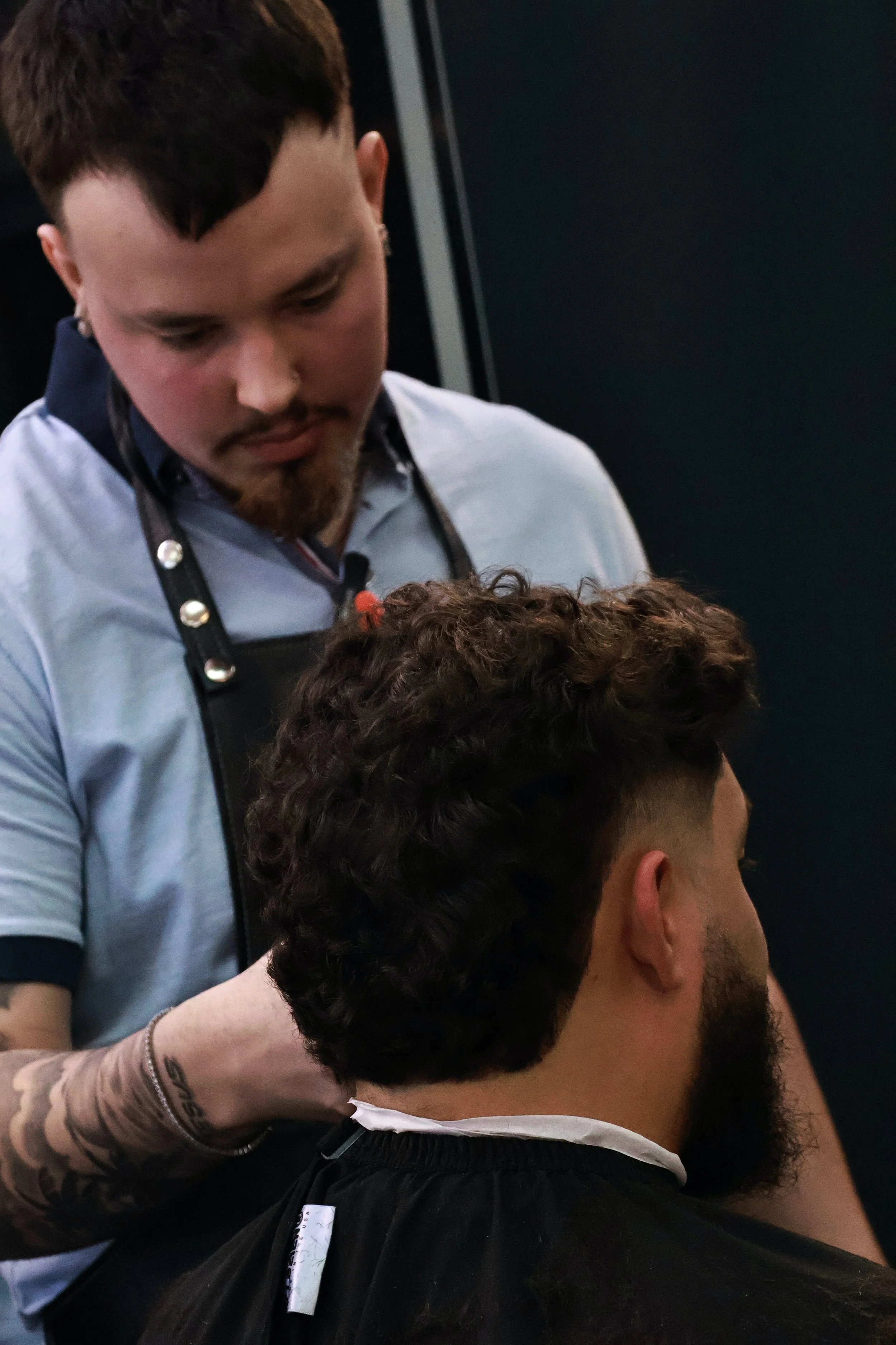 DillonPortfolioCut4.jpg