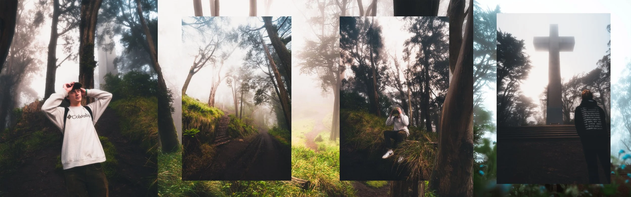 Mt.DavidsonCollage.jpg