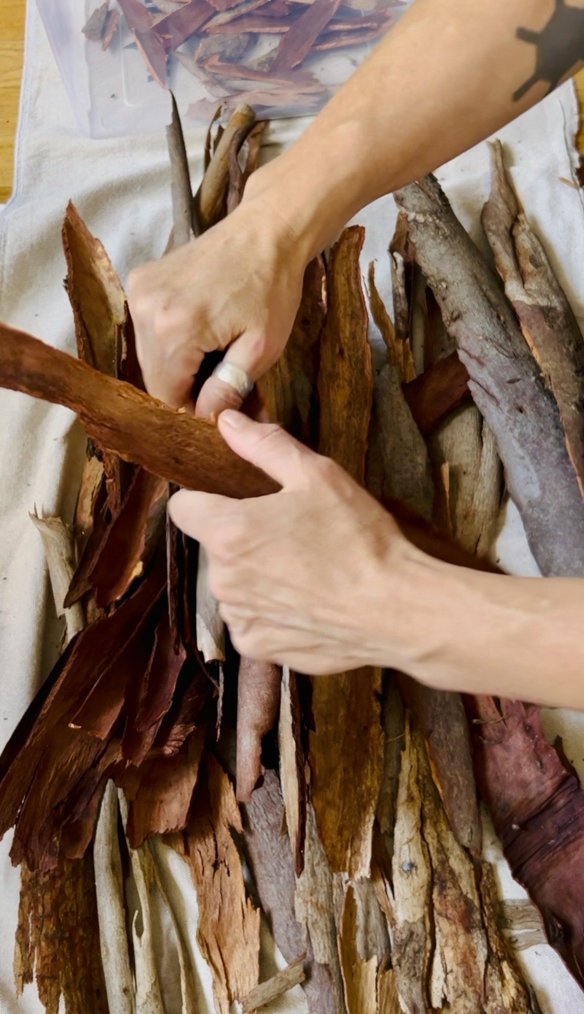 Natural dyeing…first attempts…