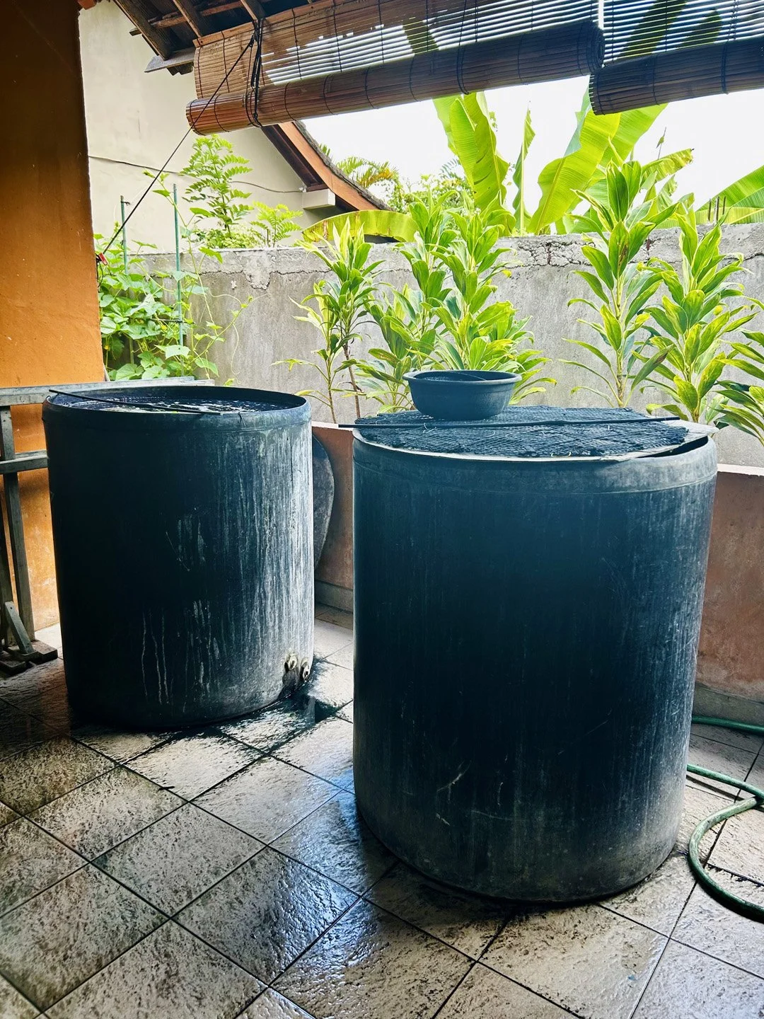 indigo vats.jpeg