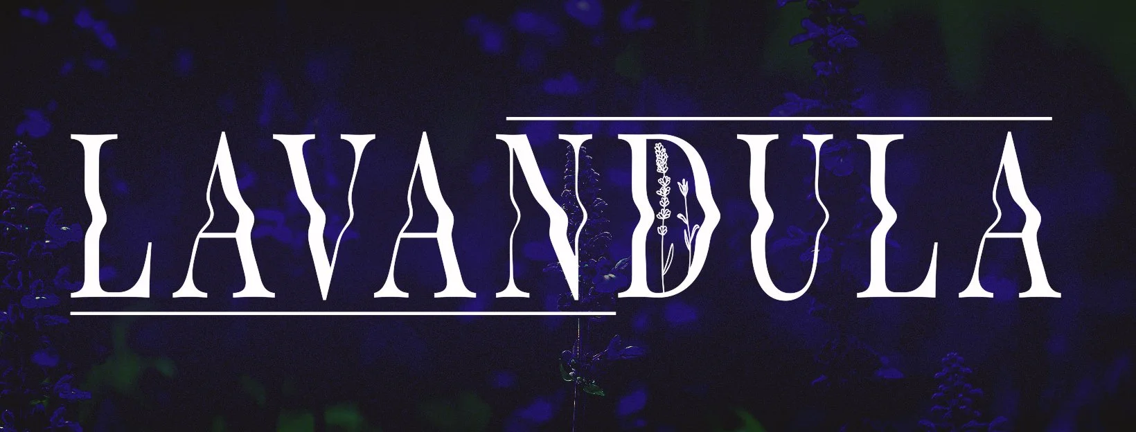 LAVANDULA_FacebookBanner1.jpg