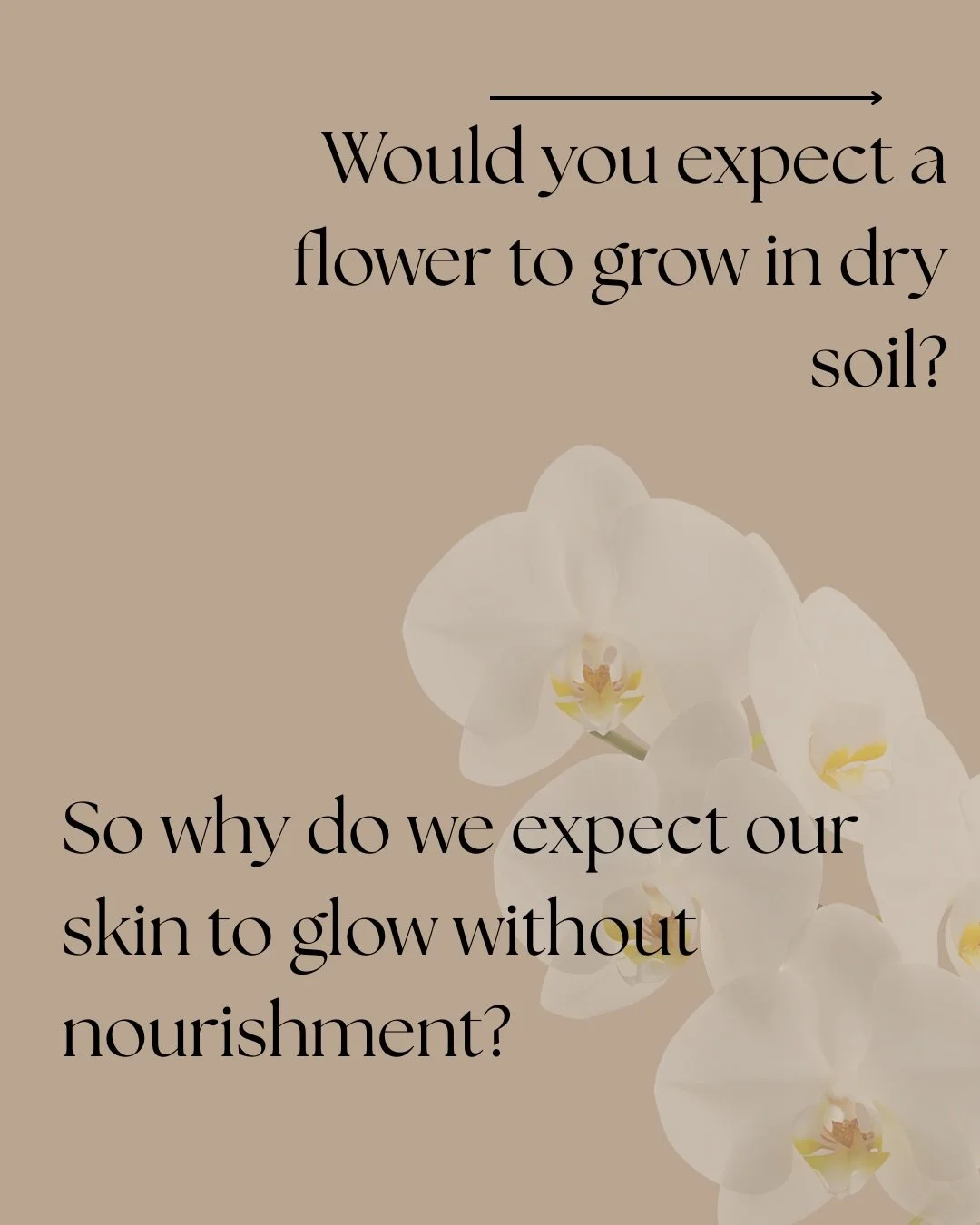 Nourish the foundation.
That&rsquo;s where skin rejuvenation begins.

Skin rejuvenation treatments like microneedling with NCTF 135 HA focus on nourishing the skin environment supporting hydration, collagen stimulation, elasticity, and overall skin q