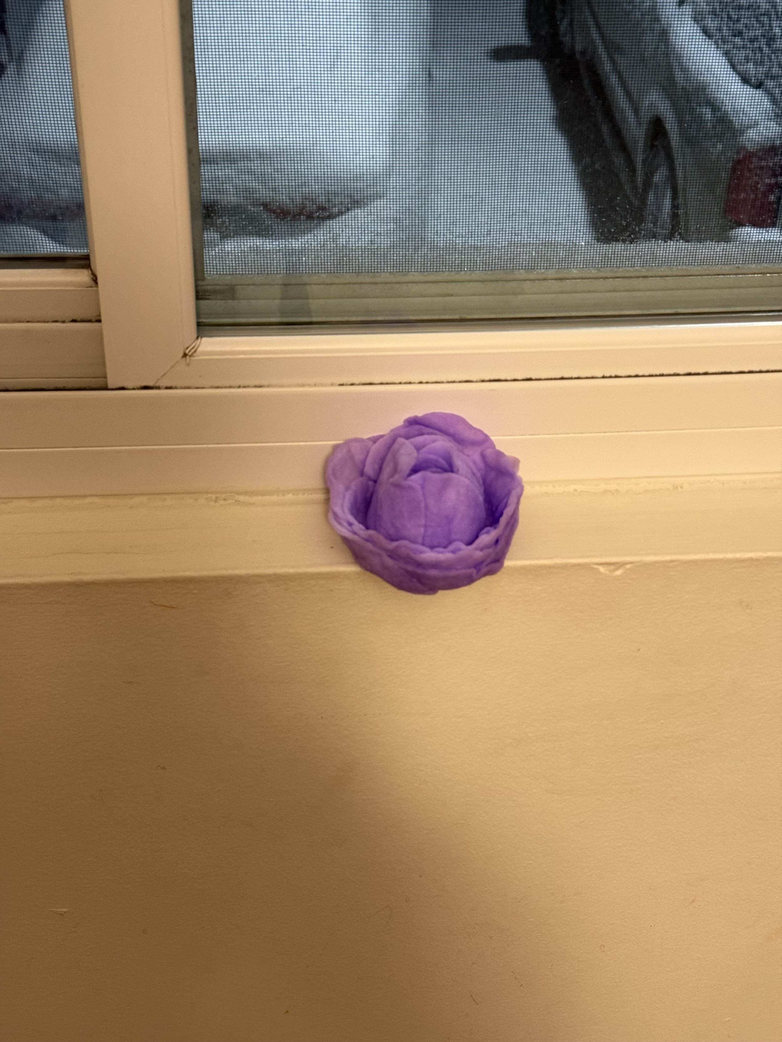 Lavender Flower