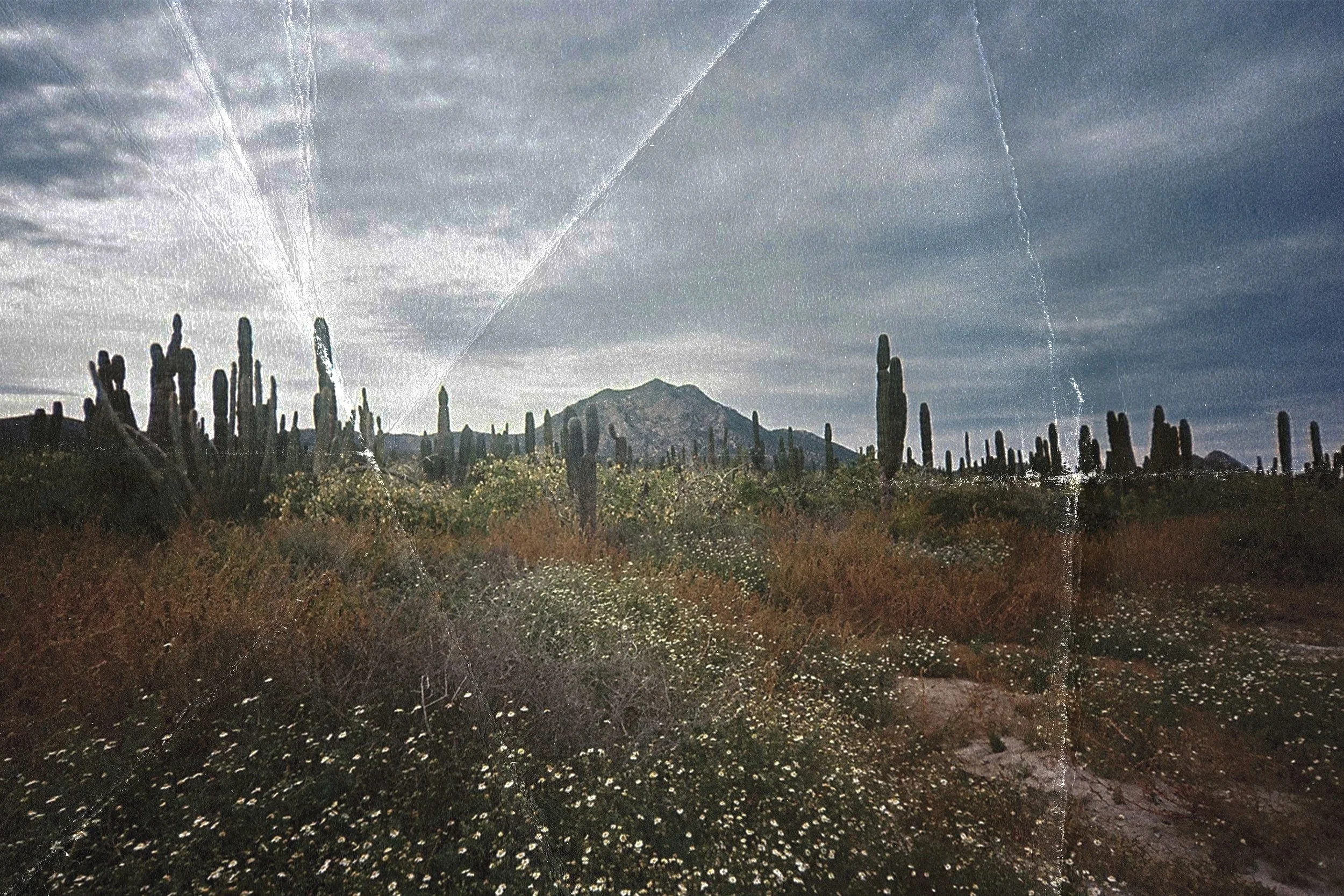 LaPazPapel01.jpg