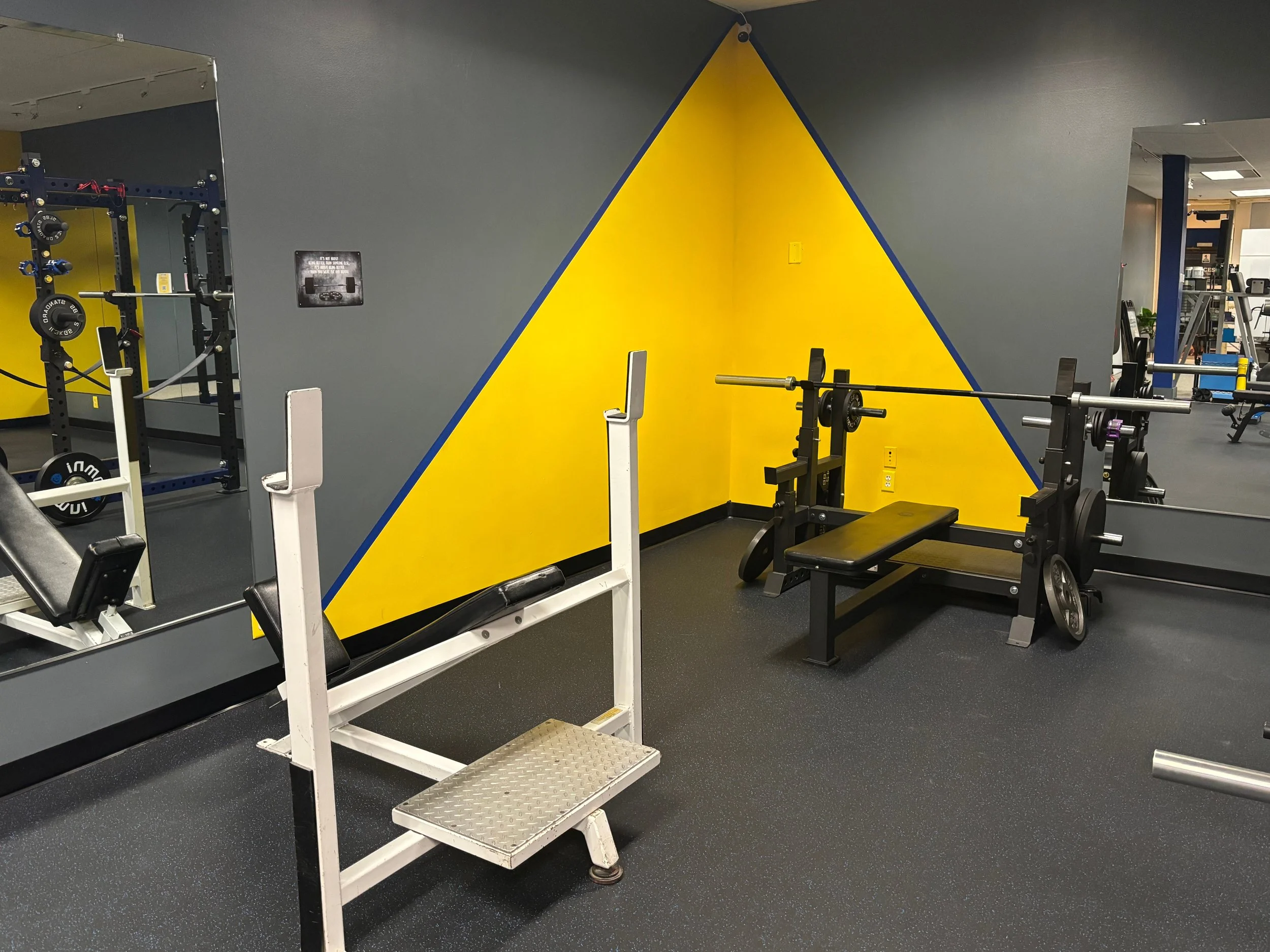 Incline and Flat Bench