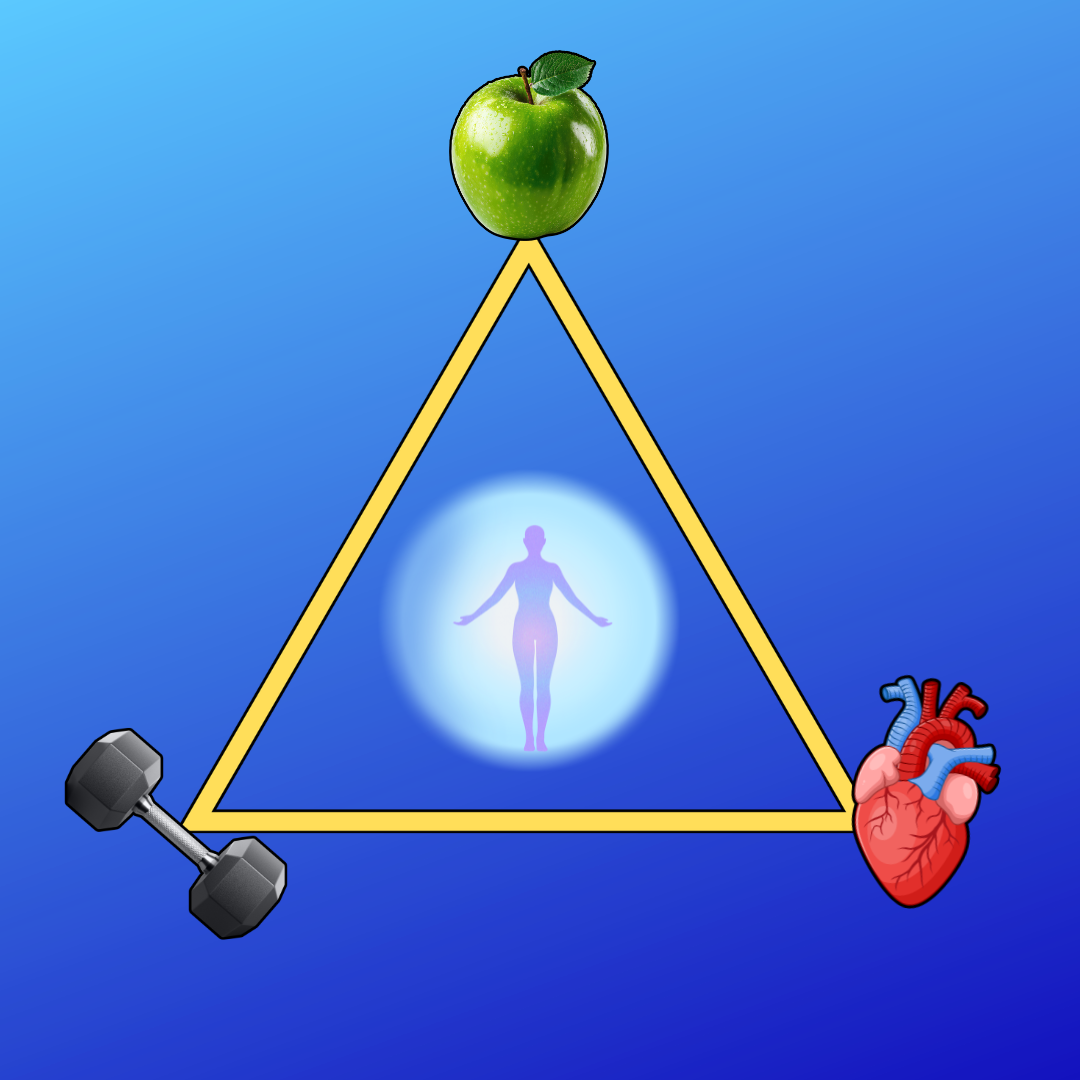 The “Holy Trinity” of Health and Fitness