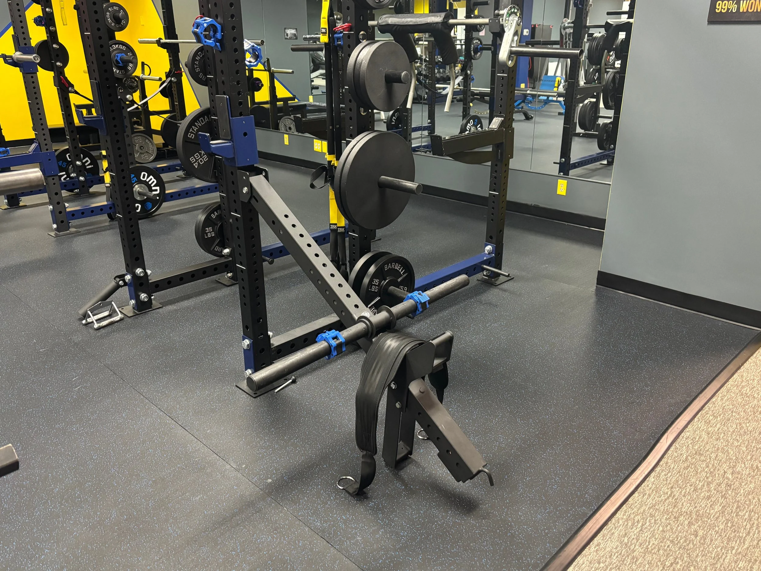 Belt Squat