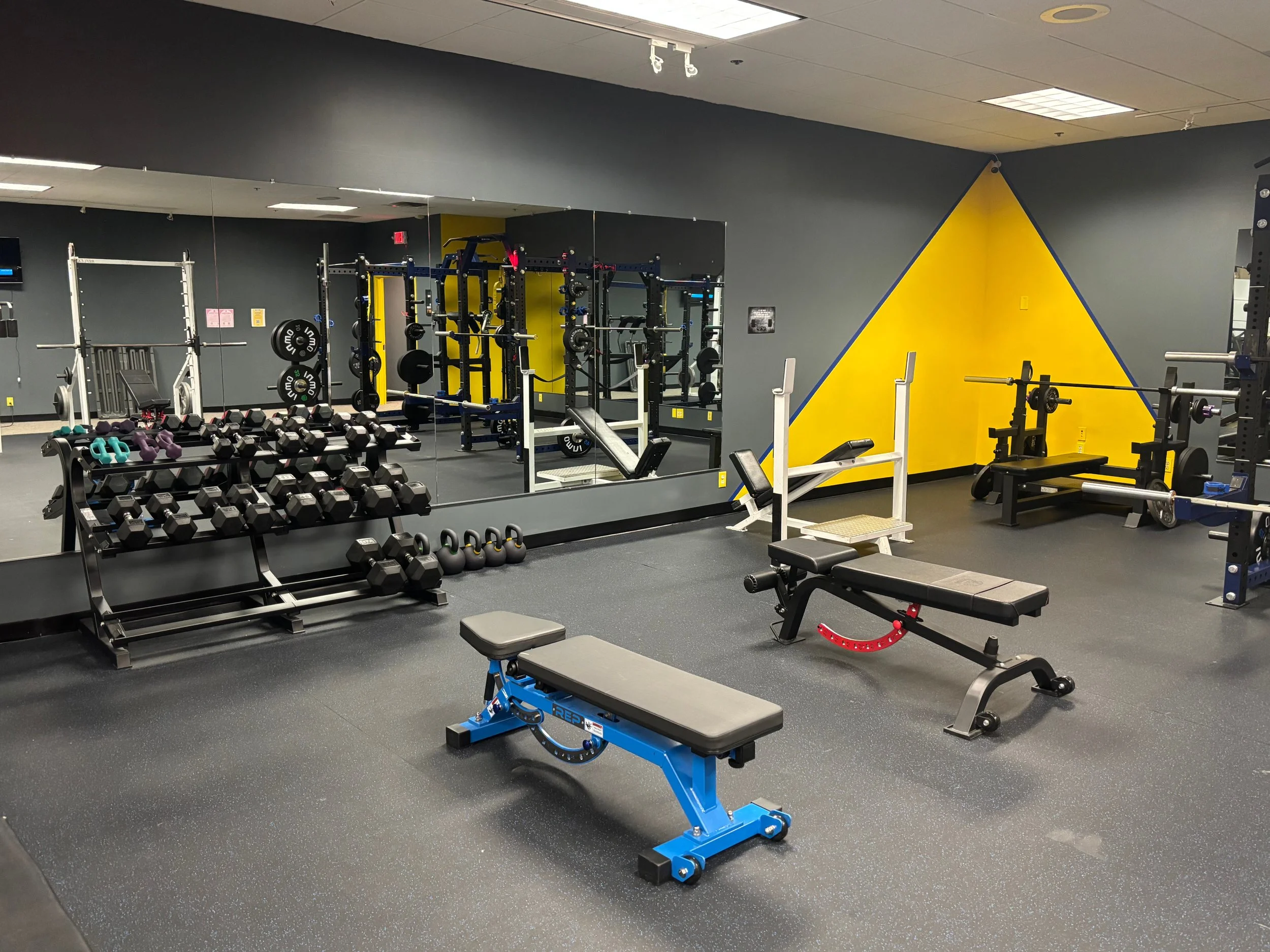 Dumbbells & benches