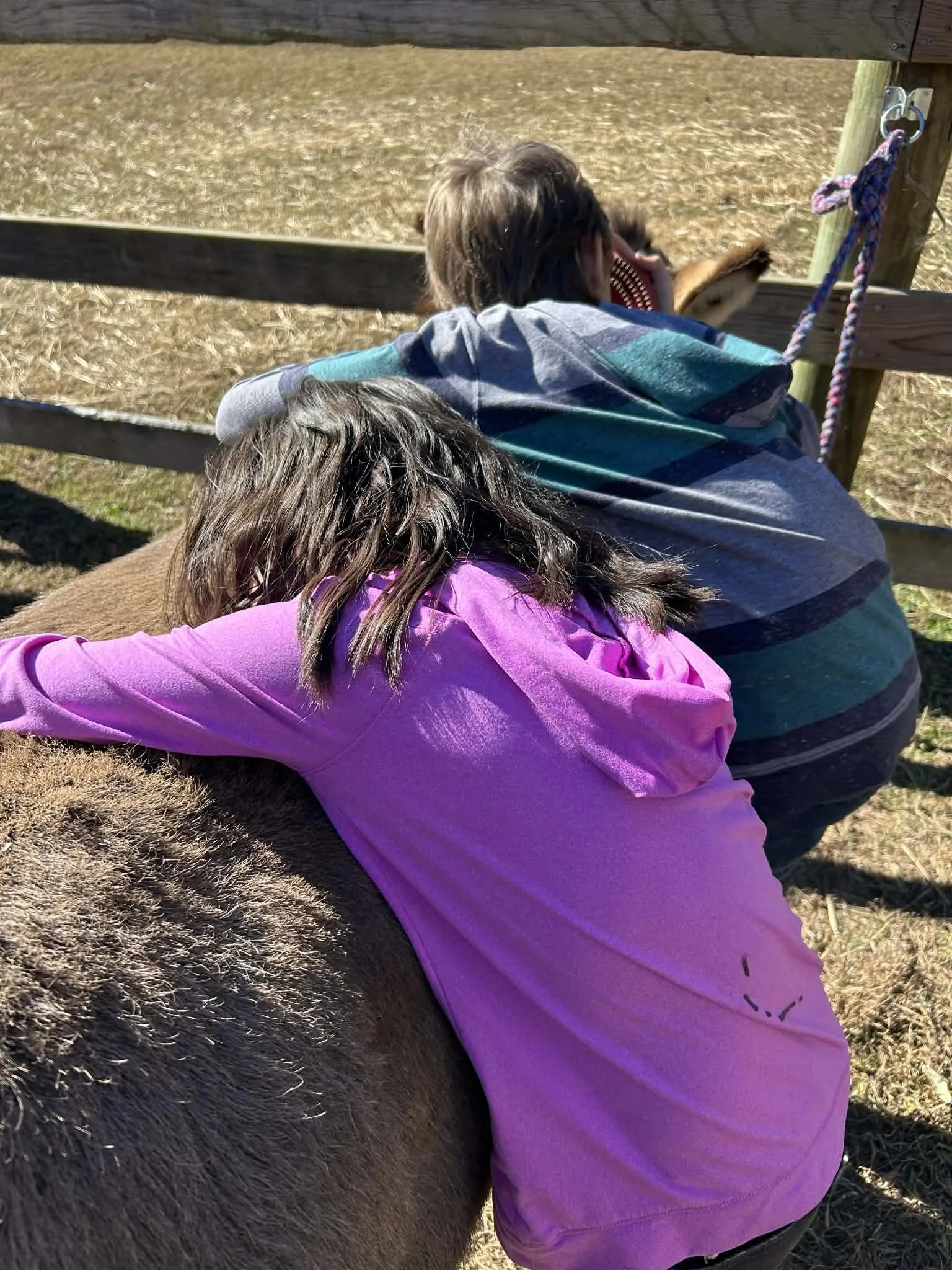 Two children hugging a horse behind a wooden fence at an outdoor farm or petting zoo.
