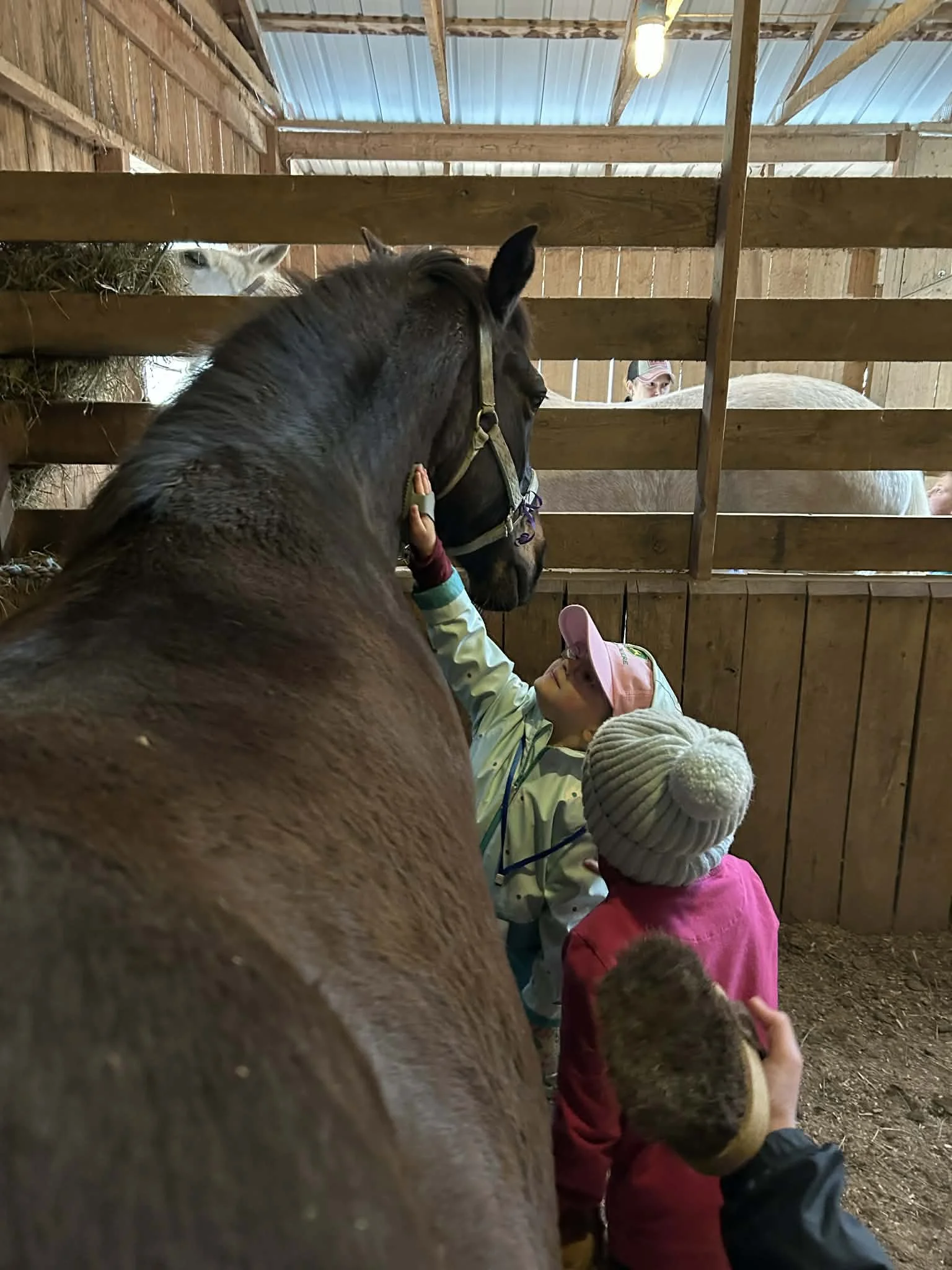 Kids petting horses inside a wooden barn.