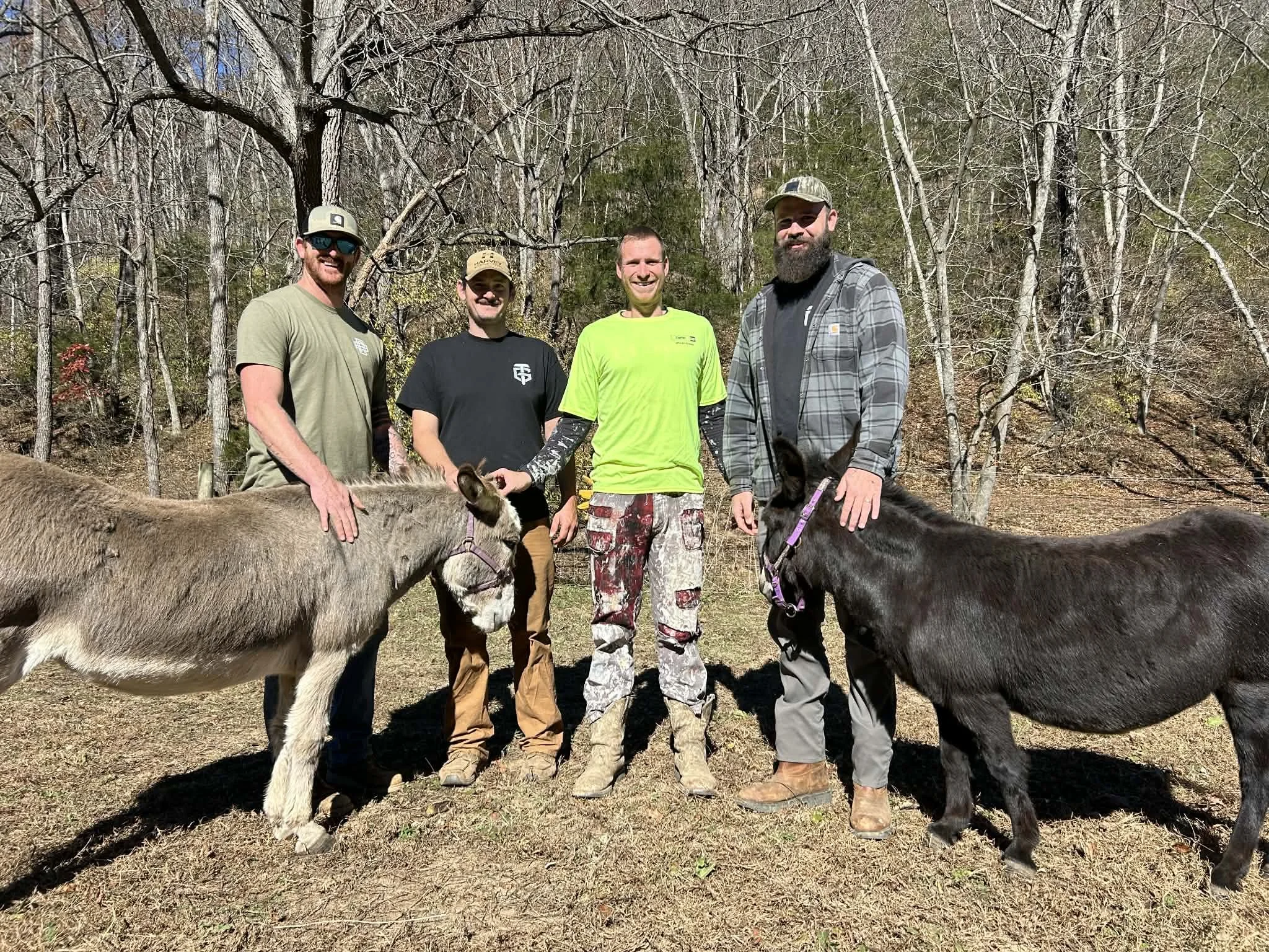 Four men standing outdoors in woods, with two donkeys between them. The men are smiling, wearing casual and outdoor clothing.