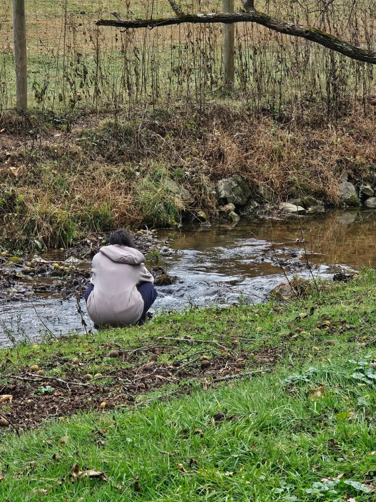 Person sitting by a small creek in a wooded area, with trees and grass around.