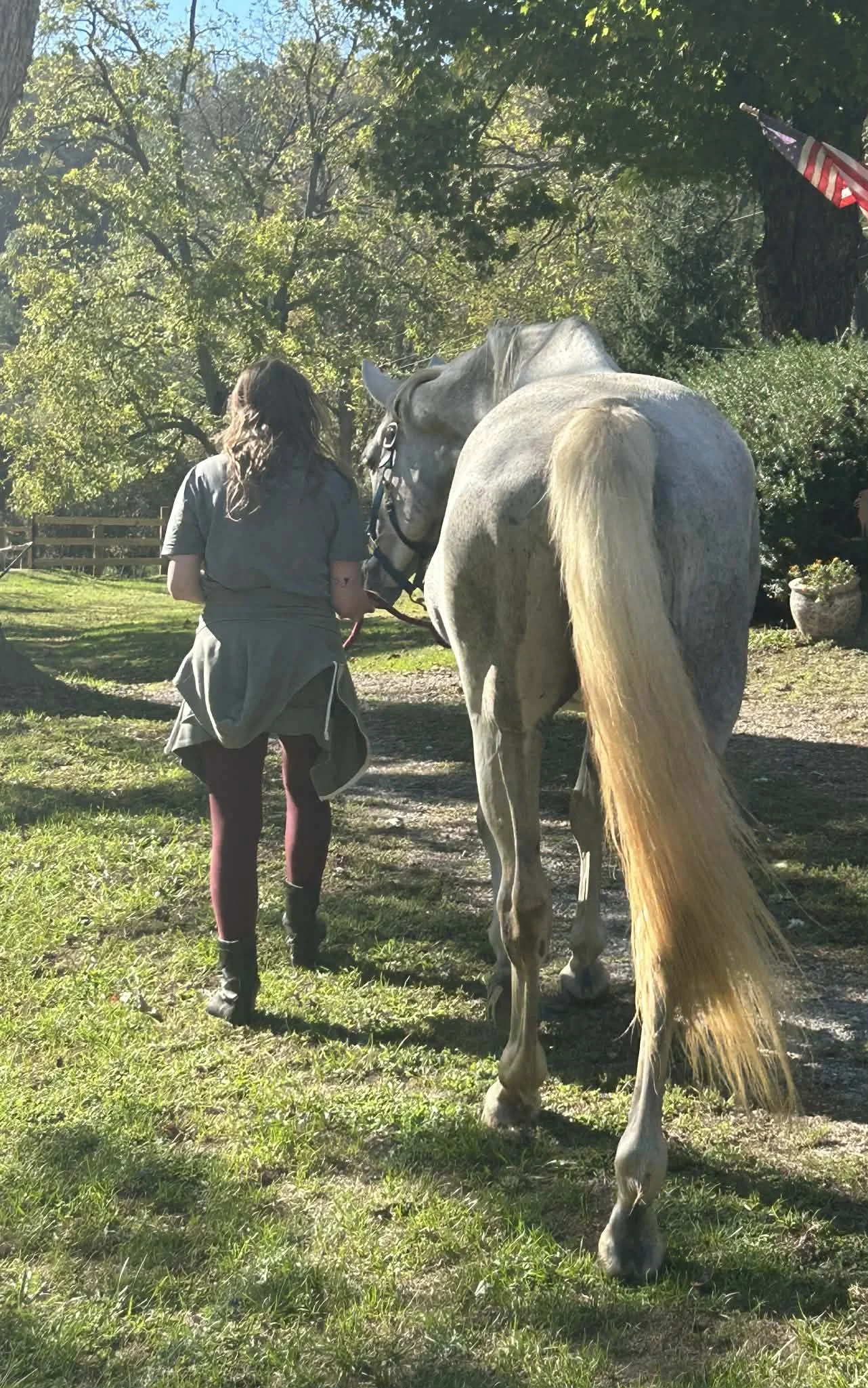 A woman walking beside a gray horse on a pathway in a green outdoor setting with trees and a wooden fence in the background.