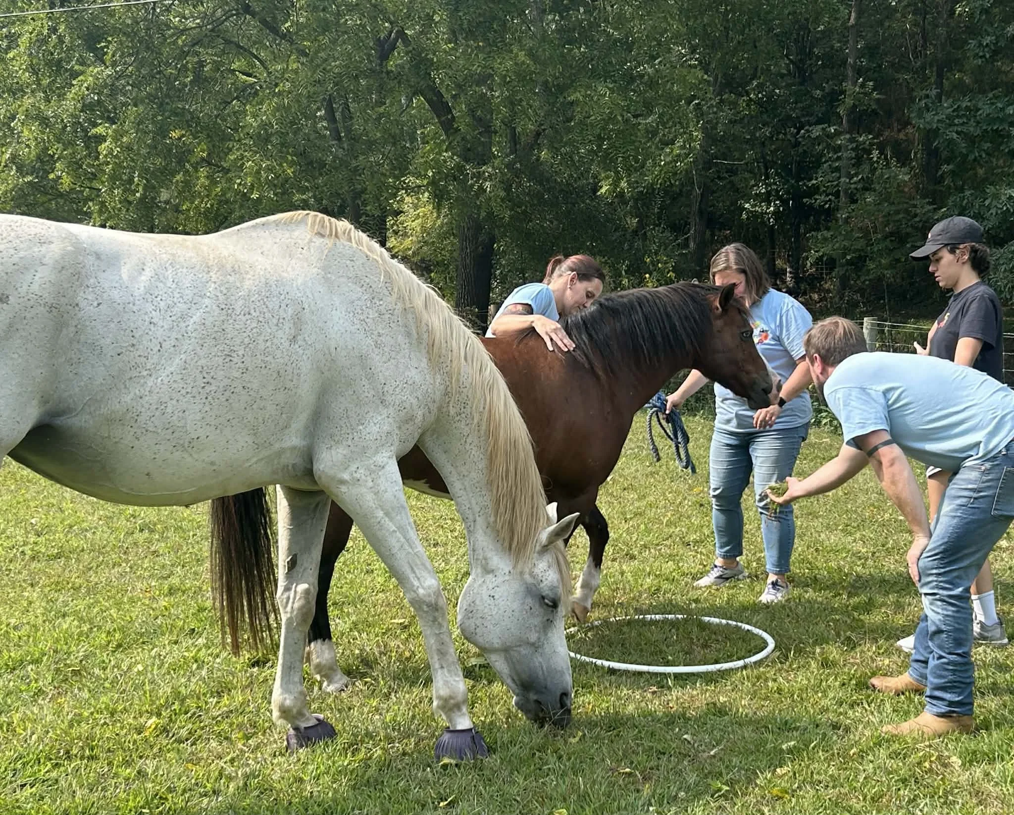 Group of five people with horses in a grassy outdoor area, some are holding lead ropes and one is petting a brown horse, with trees in the background.