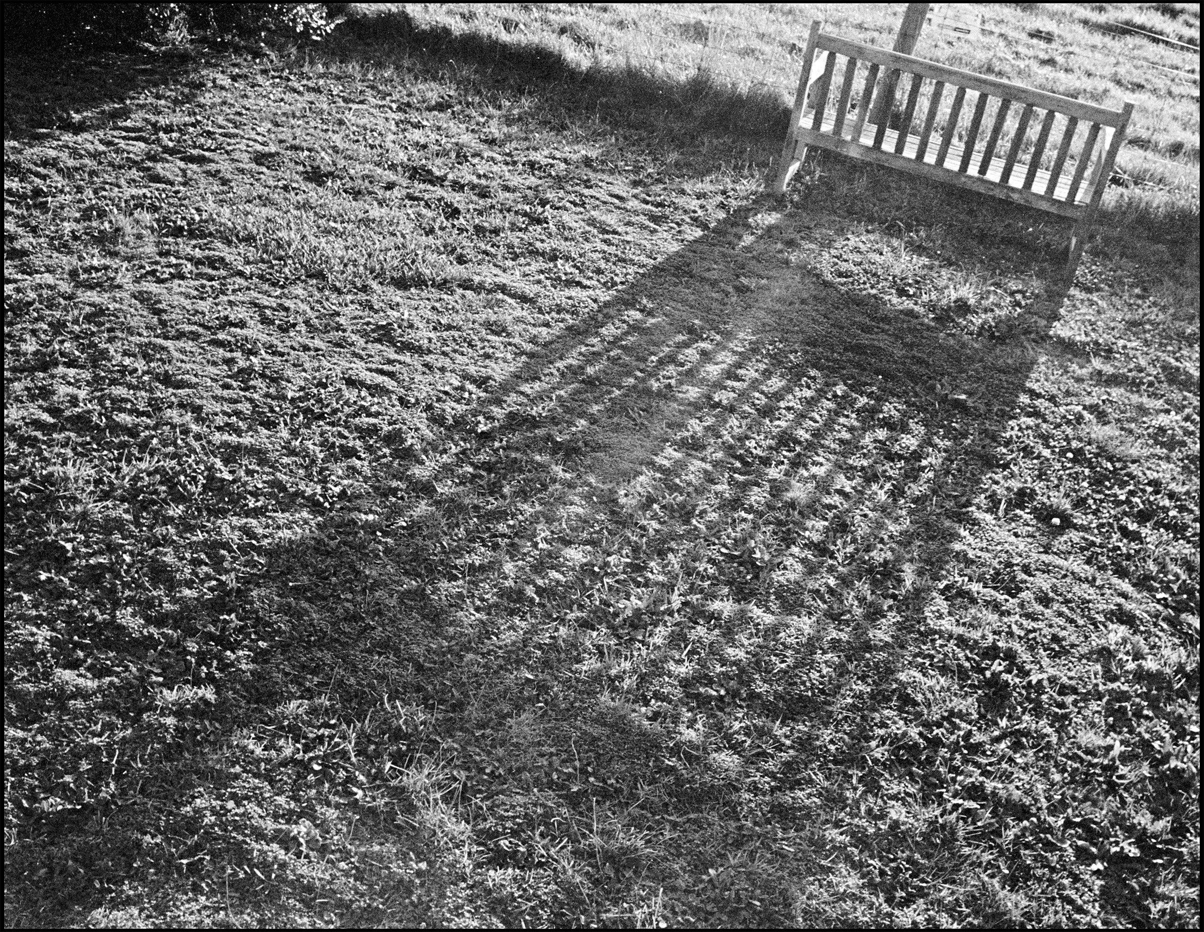 Apollo Bay 2017 (744-032) Tri-X / Leica IIIc / 35mm Leitz Summaron f3.5