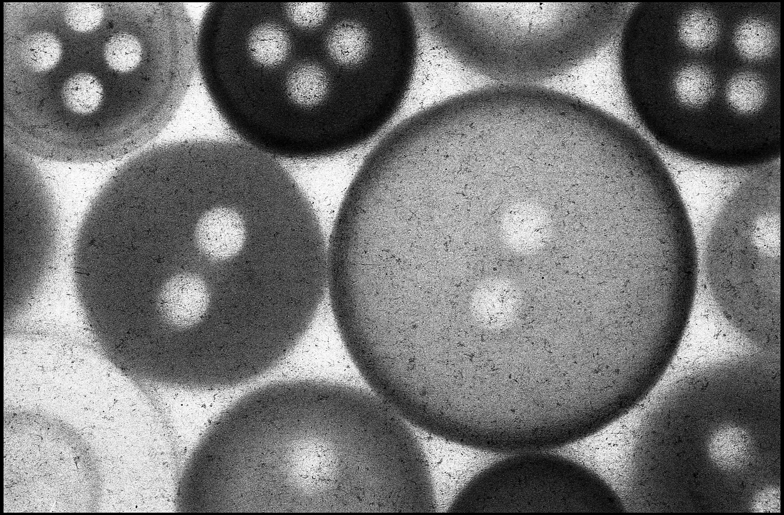 Buttons 2015 (678-035) FP4 / Leica III / 50mm Leitz Elmar f3.5