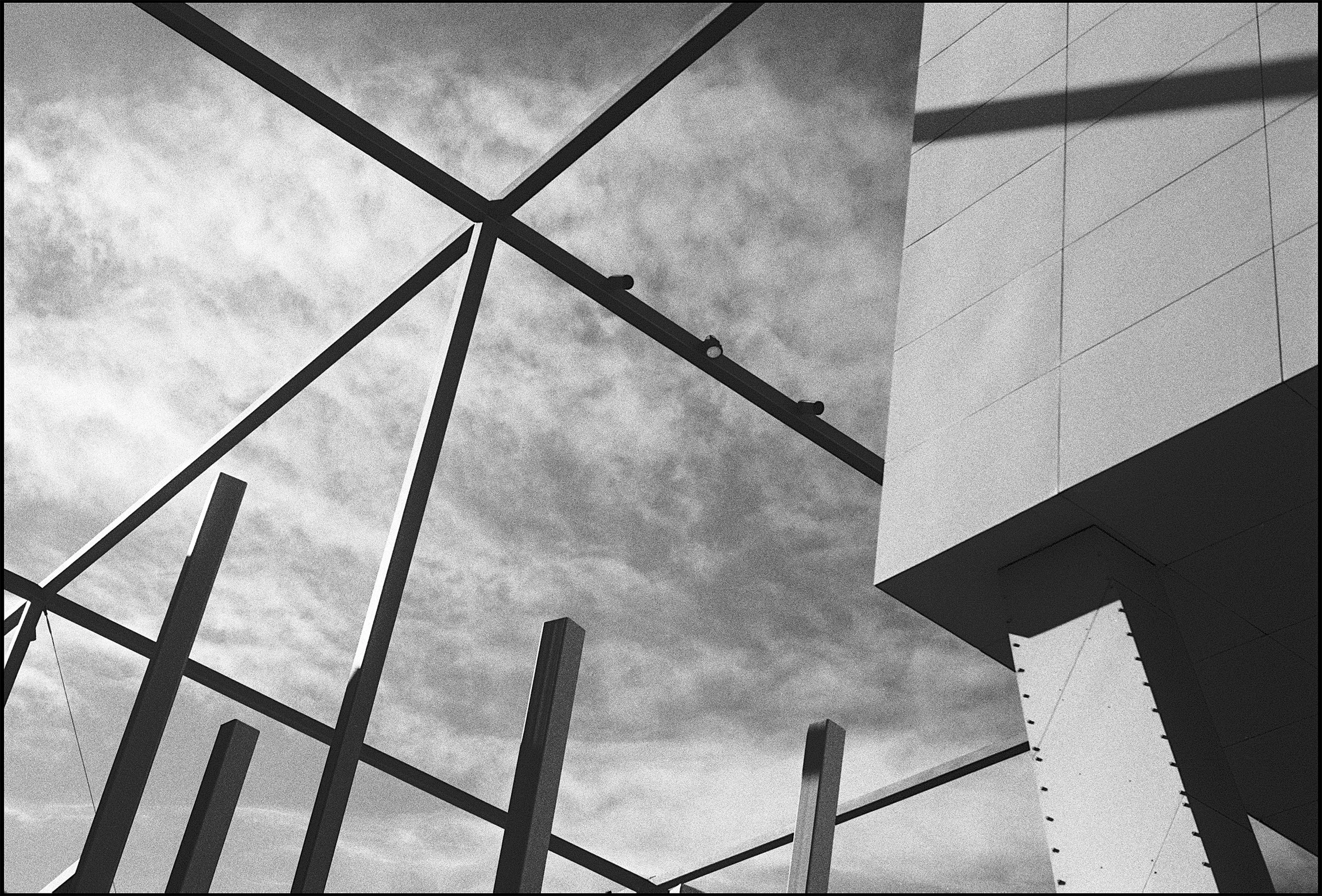 Melbourne Museum, Melbourne 2015 (657-019) FP4 / Leica III / 50mm Elmar f3.5