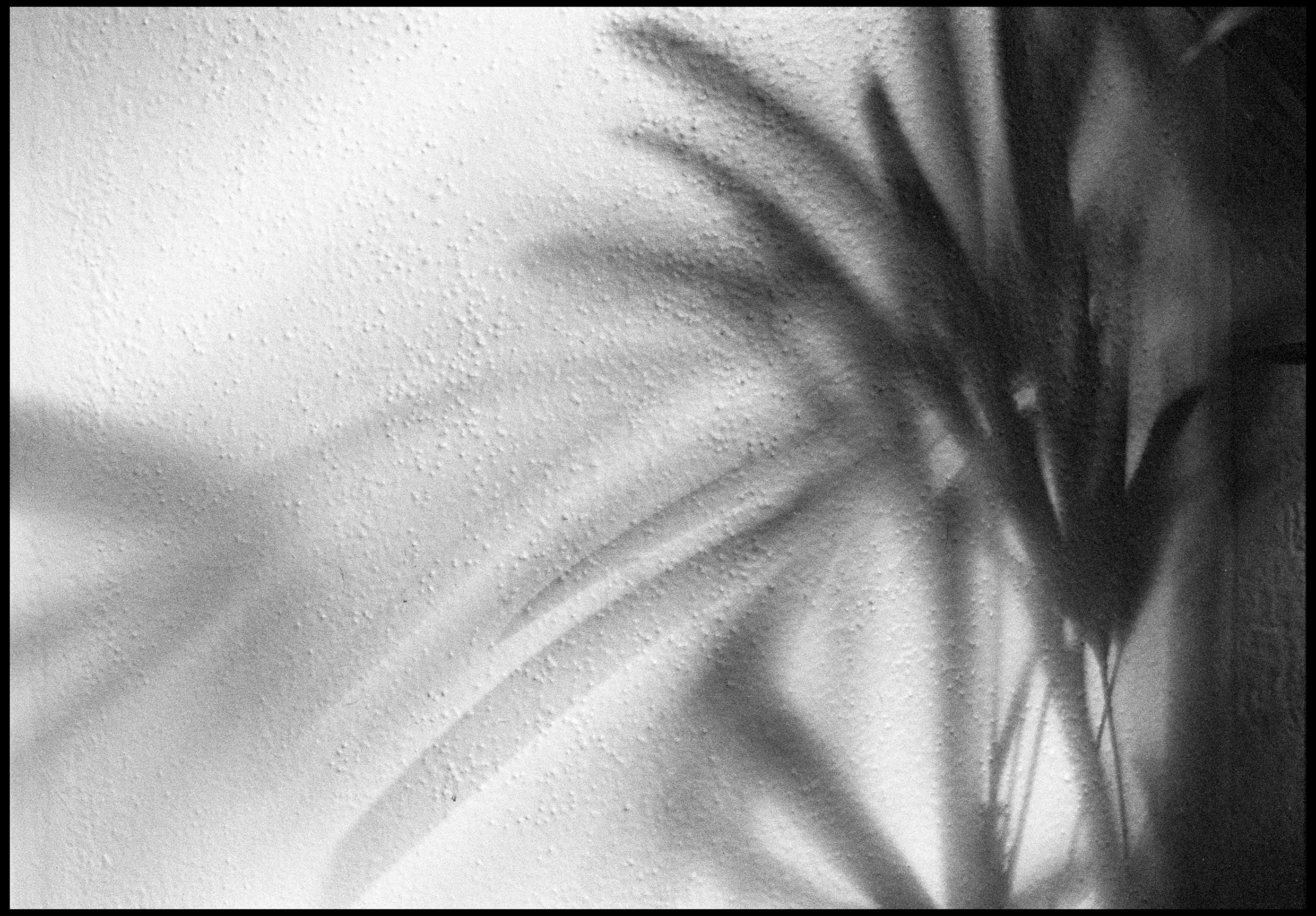 Hampton Street, Brighton 2018 (806-002) HP5 / Nikon F2 / 50mm Nikkor