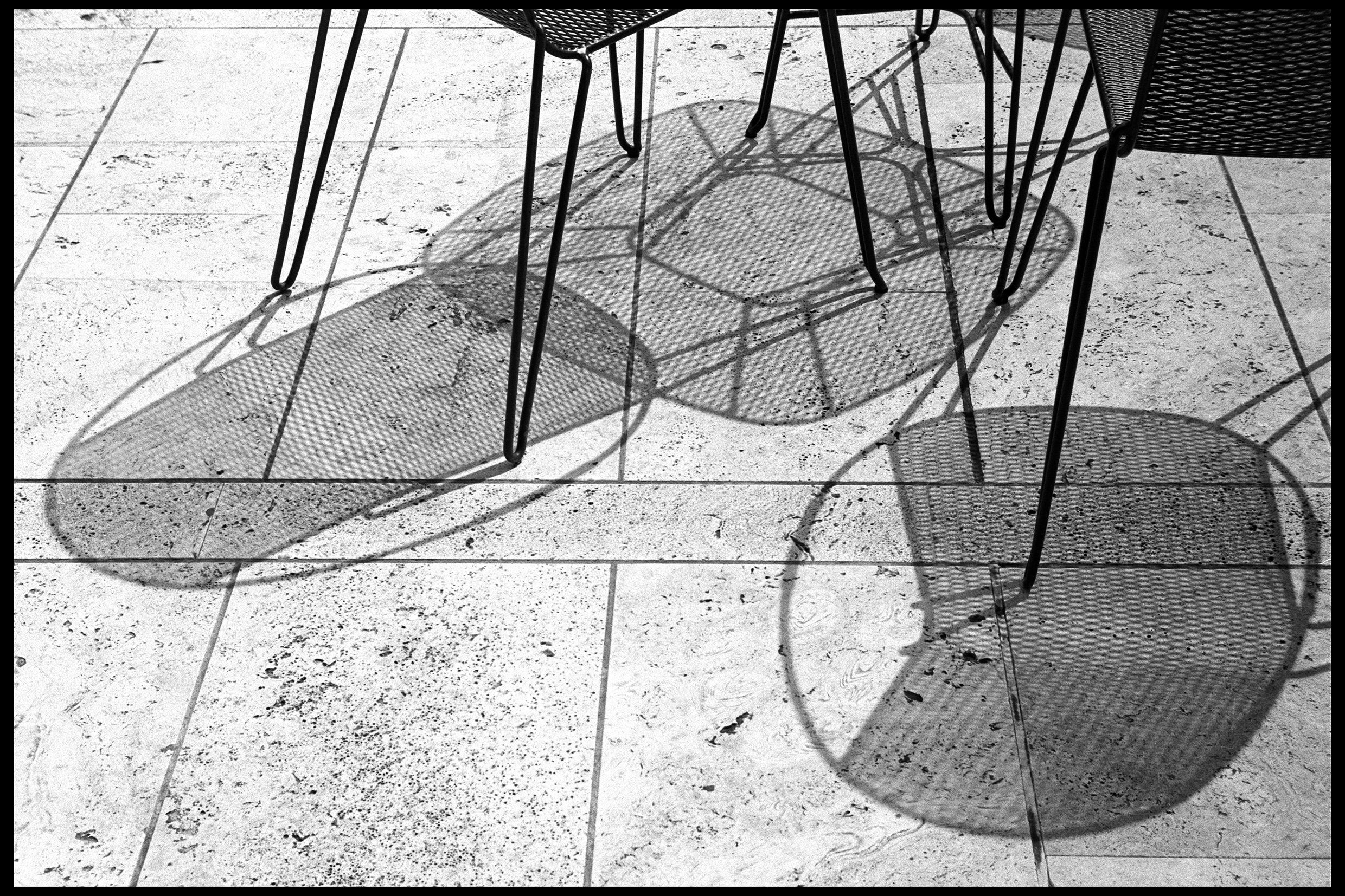 NGV, Melbourne 2022 (919-009) FP4 / Leica III / 50mm Tanar f2