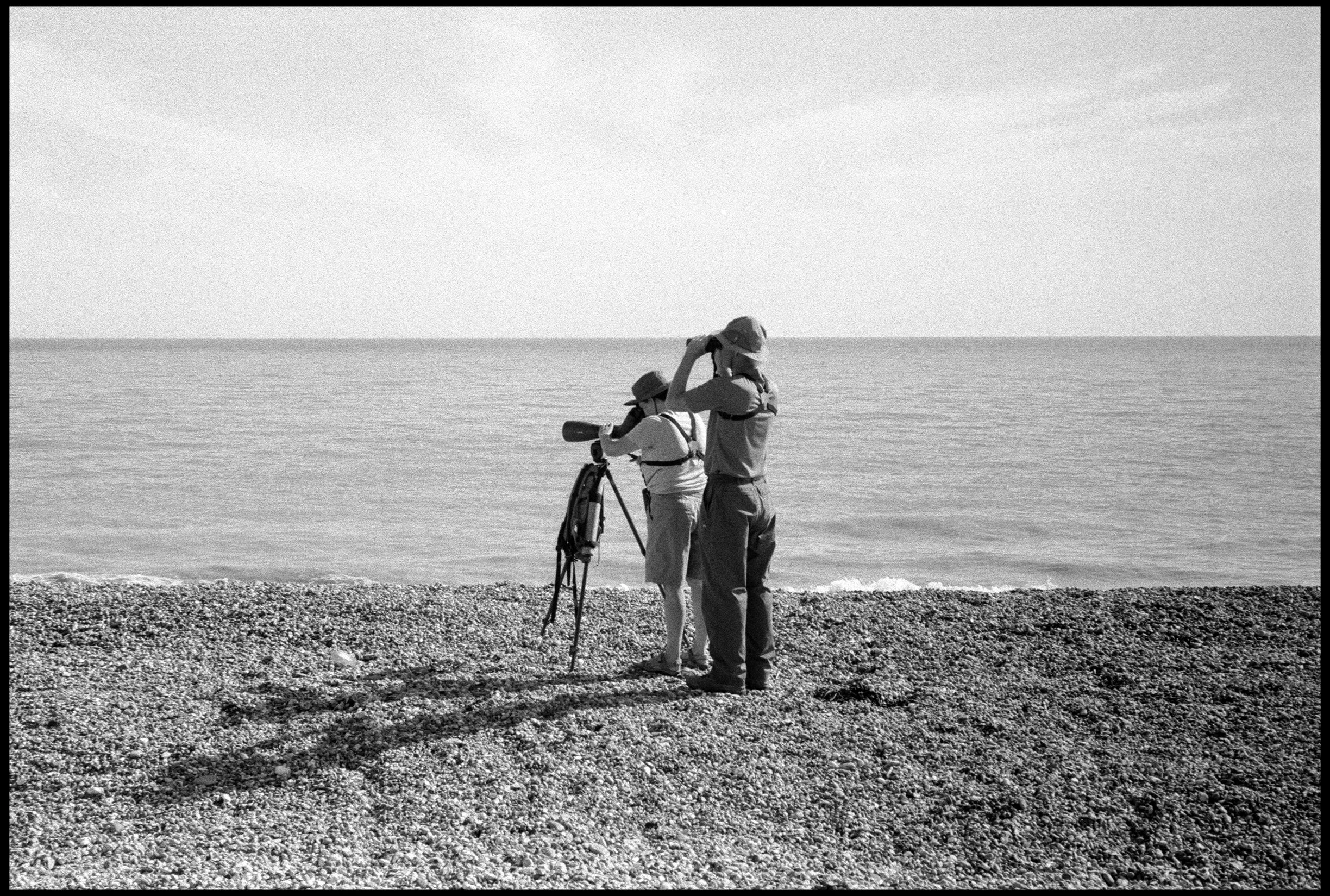 Dungeness, UK 2025 (1019-007) HP5 / Leica III / 50mm Voigtlander Color Skopar f2.5